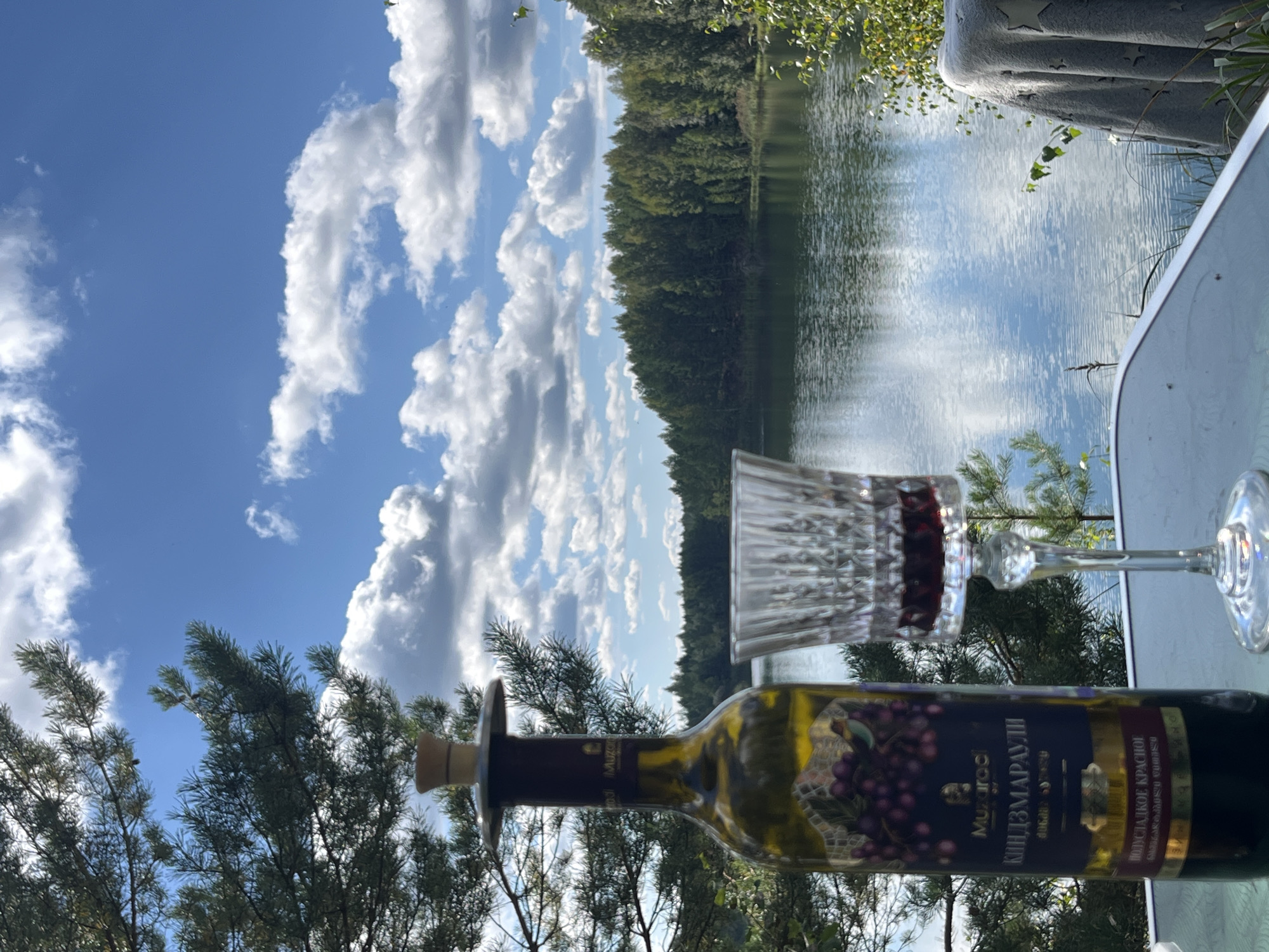 An outdoor scene features a bottle of wine and a wine glass on a table, set against a backdrop of a tranquil lake and a dense forest under a bright blue sky with scattered white clouds. The bottle, partially visible on the left, has a dark label with text and an image of grapes. A clear wine glass, filled with red wine, stands to the right of the bottle. The table appears to be glass-topped, and a gray blanket with star patterns is draped over an unseen object on the right. The surrounding environment suggests a natural setting, likely in the vicinity of Novyi, Russia, given the presence of coniferous trees and a lake characteristic of the region. No people are visible in the image.