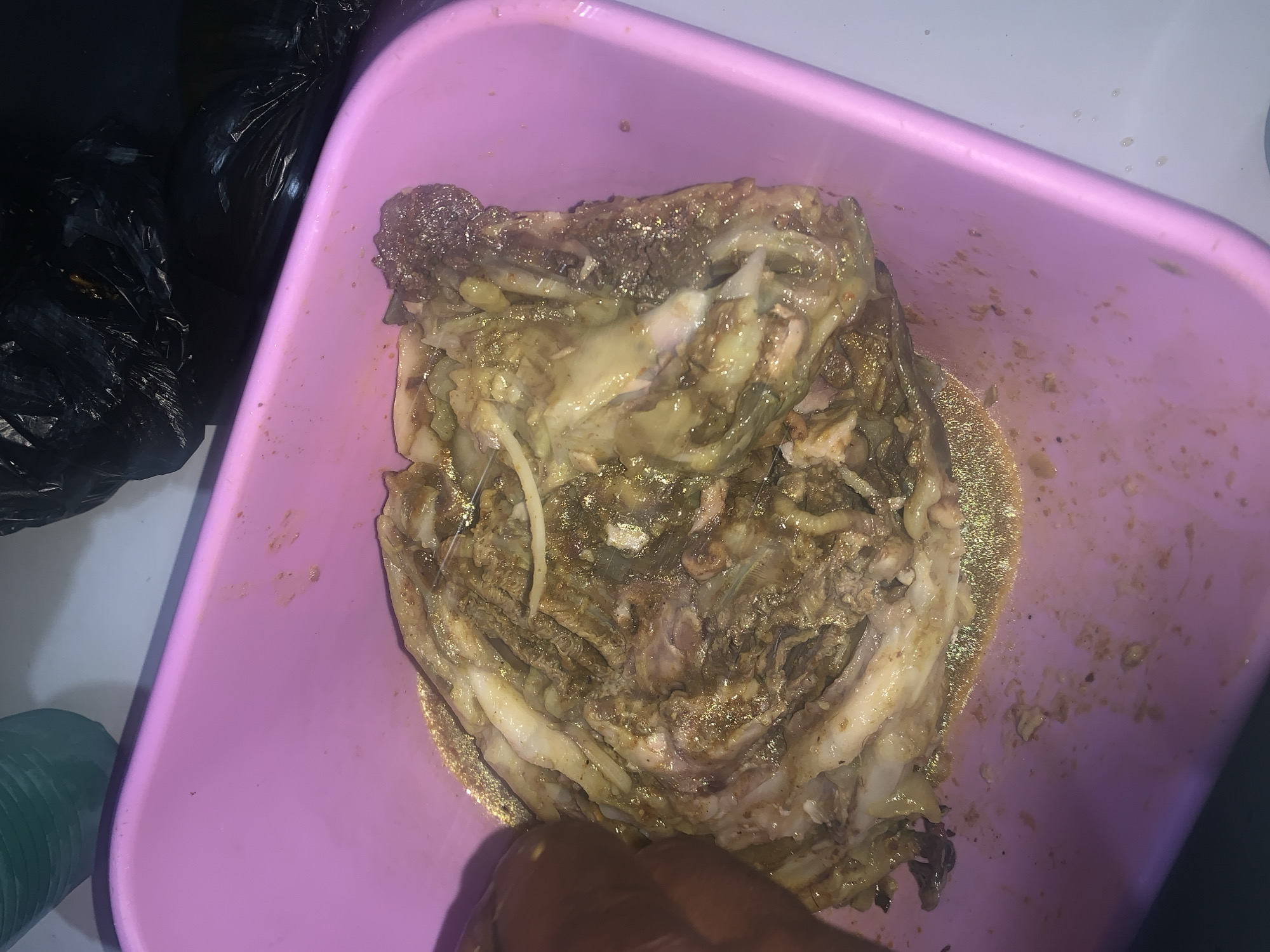 A top-down shot shows a pink plastic container containing a mass of partially digested, unrecognizable food waste. The waste is a mixture of brown and white, possibly including meat and noodles, covered in a brown liquid. Black plastic bags are visible on the upper left. An unidentified person's dark-skinned finger is at the lower left corner of the frame. The location is likely Rafin Par, Nigeria. The background is a white surface with a green bottle on the left and a black object on the right.