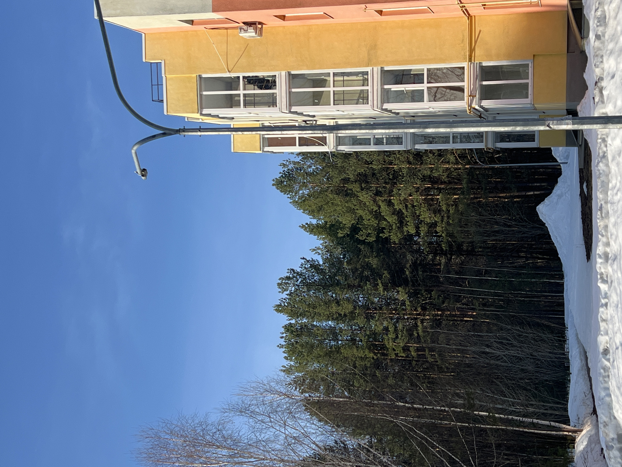 The image depicts a scene in Chaikovsky, Russia. A multi-story building with a yellow and peach facade stands adjacent to a dense forest. The building features white-framed windows. A snowy embankment runs parallel to the forest edge, with a clear blue sky overhead. A streetlamp with a curved arm extends into the sky. Bare tree branches are visible in the foreground against the backdrop of the forest. There are no people visible in the image.