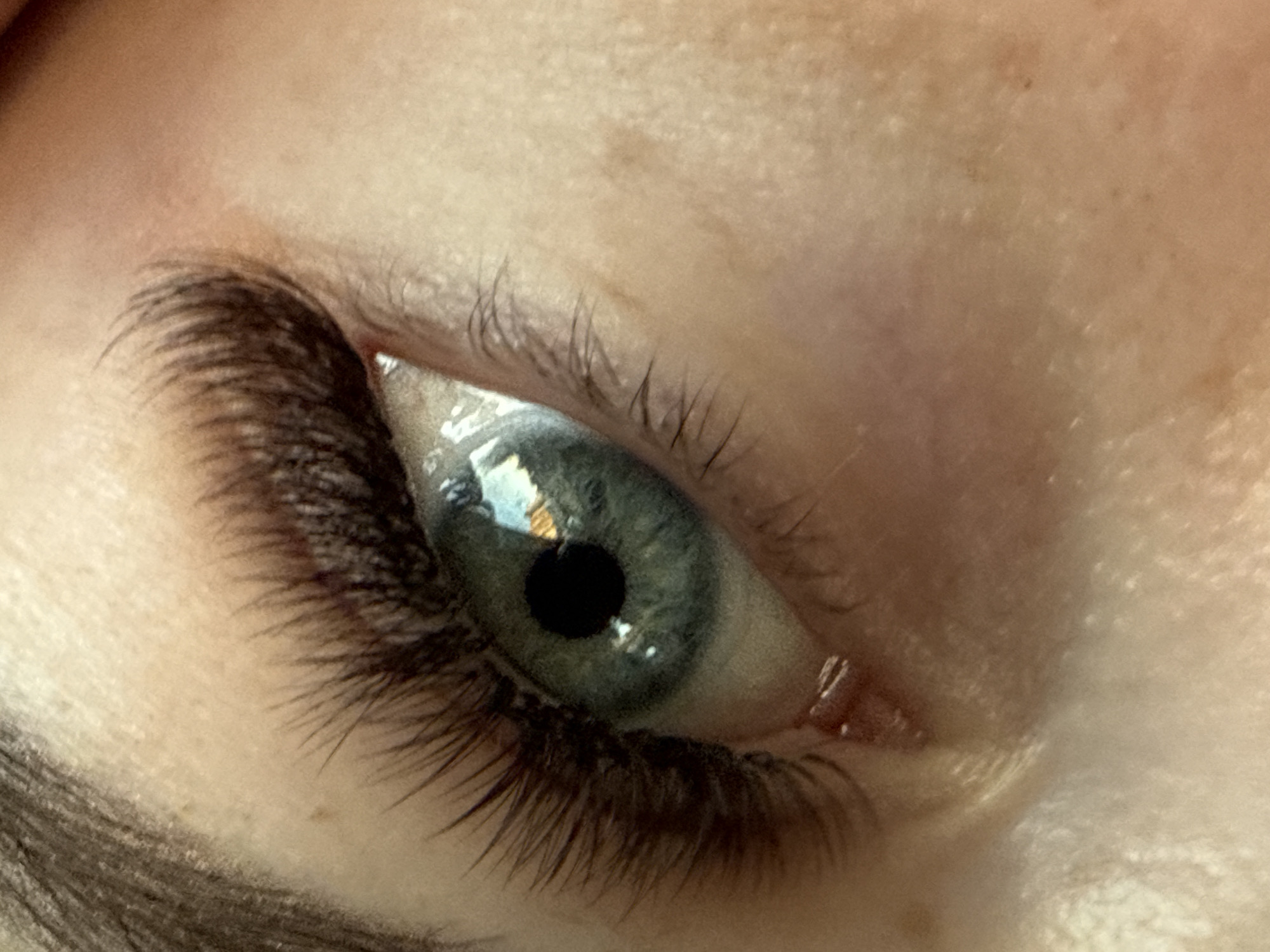 The media file presents an extreme close-up photograph of a human eye, angled slightly upwards and towards the right. The central subject is the eye itself, which features a distinct light blue-green or grey-green iris exhibiting intricate patterns. The pupil is black and circular, containing prominent, bright reflections that suggest a light source, possibly a window or an artificial fixture, with visible details that could be part of a ceiling or a more complex structure reflected within.
Long, dark, and thick eyelashes frame both the upper and lower eyelids, with the lower lashes being particularly dense and well-defined. A segment of a dark eyebrow is visible in the bottom-left portion of the frame. The surrounding skin is fair-toned, revealing natural texture and fine pores, typical of a macro image. The inner corner of the eye, including the lacrimal caruncle, is visible and appears normal. The strong lighting contributes to the sharp reflections and highlights on the moist surface of the eye. There is no specific activity depicted beyond the eye being open and seemingly focused. No visible text is present in the image, and no particular emotion is conveyed.