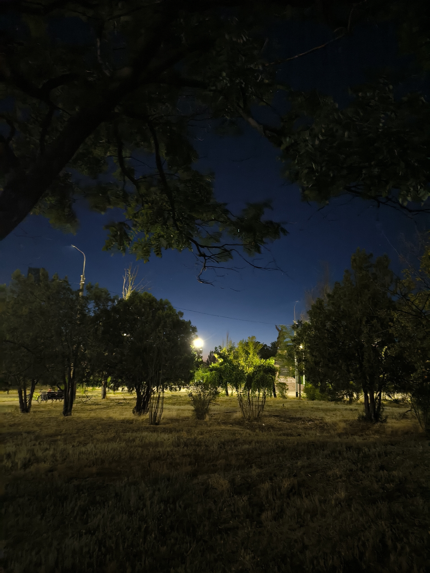 The image depicts a nighttime scene in a park in Mykolaiv, Ukraine. The sky is dark blue, with a few faint stars visible. Silhouetted trees frame the top of the image, with their leaves dark against the night sky. In the mid-ground, a well-lit path winds through the park, bordered by various types of trees and bushes. Streetlights illuminate some areas, casting a warm glow on the foliage and dry, golden grass. A park bench with a bicycle behind it is visible on the left side of the path. The overall atmosphere is tranquil and somewhat illuminated by artificial light sources.