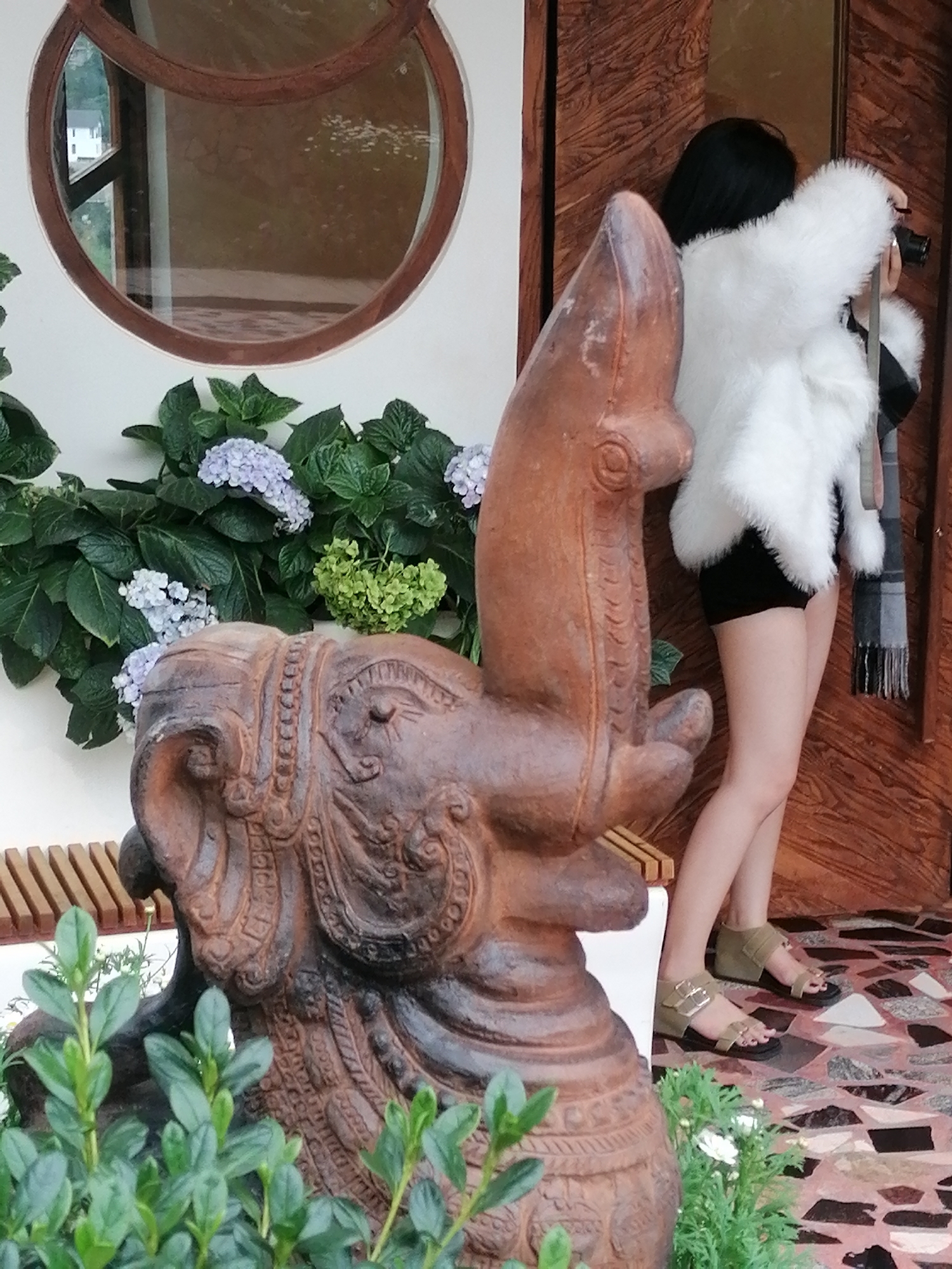 In Da Lat, Vietnam, a woman wearing a white fur coat and black shorts stands next to a brown elephant statue. She is holding a camera, seemingly taking a photo. She is wearing sandals. The elephant statue is ornate, with intricate carvings. Behind her, a wooden door is visible. In the foreground, lush green plants and light purple hydrangeas add to the scene's natural beauty.