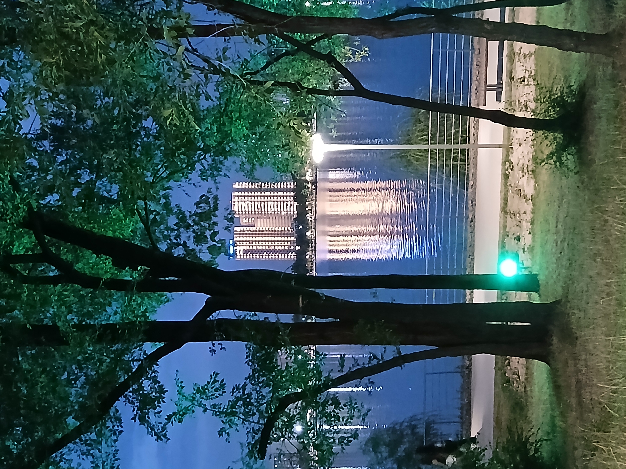 A nighttime, low-angle shot captures a serene urban waterscape with silhouetted trees in the foreground. The dark trunks and lush green foliage of several trees frame a calm body of water reflecting the lights of two tall, modern buildings situated on the opposite bank. These buildings are illuminated with numerous small, bright lights, creating a shimmering reflection on the water's surface. A modern-style streetlamp with a glowing white top stands to the right of the water, casting a warm light. A white metal railing runs along the edge of the water, separating it from a paved walkway. Beyond the walkway, there's a grassy area with a park bench. A small, bright green light emanates from the ground near the base of one of the trees in the foreground. In the distance, on the left side of the image, a dark, blurred figure is visible walking on the paved path. The sky above is a deep twilight blue. This scene is located in Almaty, Kazakhstan, specifically at the illuminated embankment of the Big Almaty Lake.