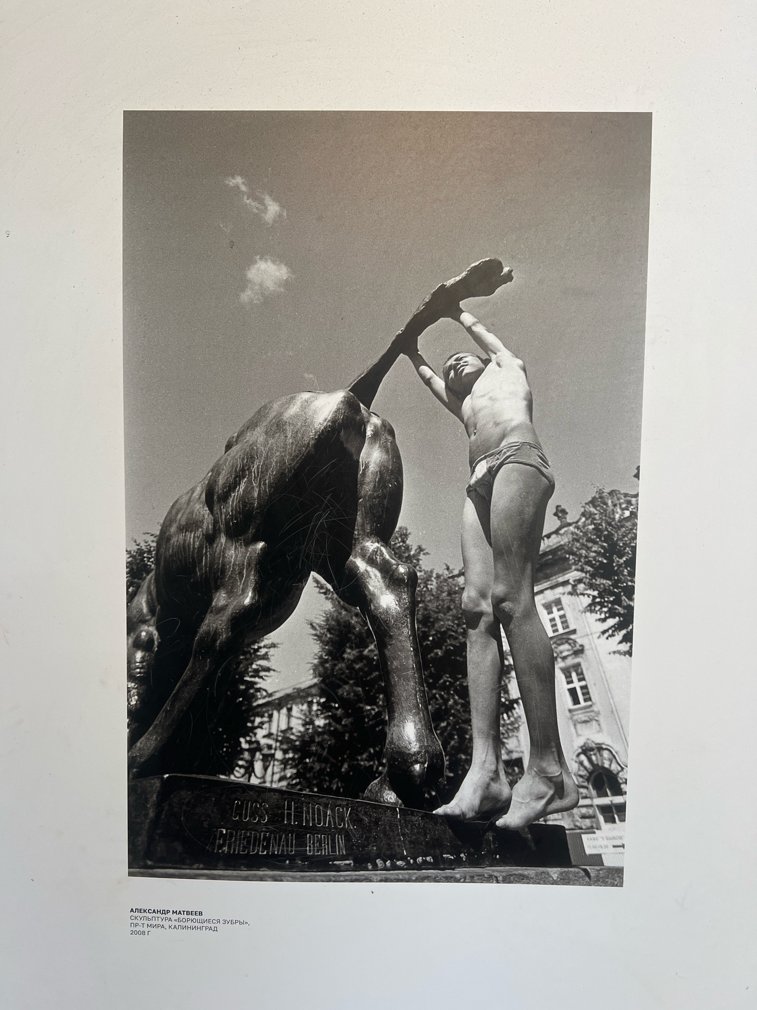 This is a black and white photograph of a bronze sculpture of two bison in an outdoor urban setting. A young boy, naked except for briefs, stands on the sculpture's base, reaching up towards one of the bison. The sculpture is situated on a stone pedestal with an inscription that reads "CUSS H. HOACK FRIEDENAU BERLIN." In the background, there are trees and a building with architectural detailing. Below the photograph, there is Russian text that translates to "Alexander Matveev, Sculpture 'Fighting Bison', PP-T Mir, Kaliningrad, 2008." The overall scene depicts an artistic display in a public space.