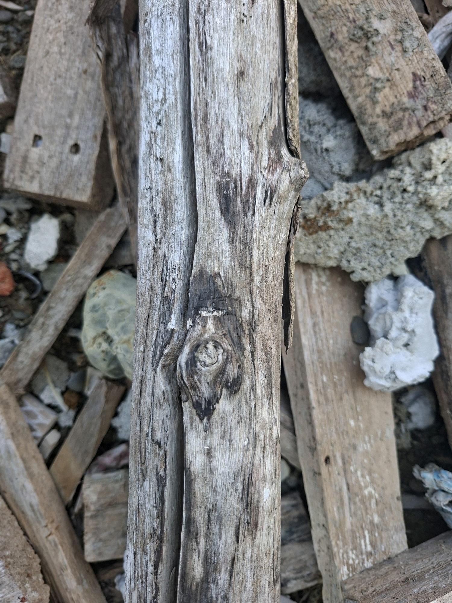 A close-up, vertical, medium shot captures weathered, rough-textured wooden debris scattered across a dry, gritty ground surface. The primary focus is a prominent piece of driftwood, bleached and grayed by the elements, with a distinct knot resembling an eye. The driftwood is positioned vertically in the center, its grain prominent and cracked. Surrounding it are other fragments of wood, some appearing as planks, others as splintered pieces, all exhibiting a similar aged and weathered appearance. Interspersed among the wood are chunks of rough, porous concrete or stone, varying in color from light gray to tan, with some showing hints of reddish-brown mineral deposits. Small pebbles and granular debris are visible on the ground. The overall impression is one of a disheveled, abandoned outdoor area, possibly a construction site or a refuse pile, in the city of Gronggrong, Indonesia. There are no people or animals visible in the frame.