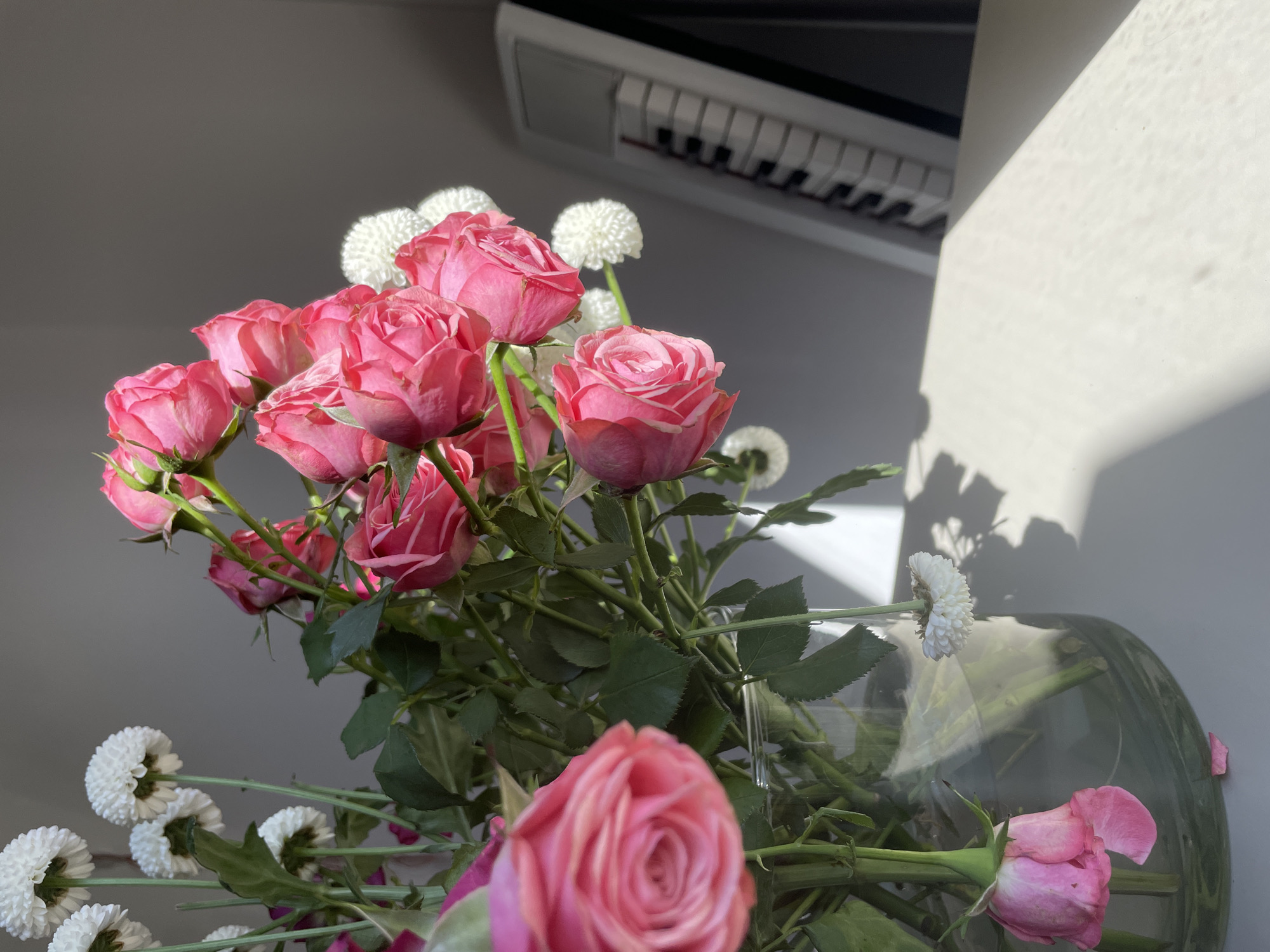 The image displays a vibrant bouquet of fresh flowers arranged in a transparent glass vase, positioned indoors. The dominant flowers are numerous pink roses, ranging from tightly budded to fully open, with some petals exhibiting lighter pink or white edges. Interspersed with the roses are clusters of small, spherical white flowers, possibly chrysanthemums, adding contrast and texture.
The scene is bathed in natural light, likely from a window, as evidenced by the strong, well-defined shadows cast on a light-colored wall or pillar on the right side of the frame. This prominent sunlight suggests either a morning or late afternoon setting. In the upper-central background, an electronic device featuring a sequence of white and black keys, resembling a musical keyboard or the controls of an air conditioning unit, is partially visible against a darker background.
The roses appear healthy with green stems and foliage. A single pink rose in the lower foreground is slightly out of focus, creating a sense of depth. The clear vase shows the flower stems and water within. The overall mood conveyed is one of freshness and serene beauty within a sunlit indoor environment. No text is visible in the image. The setting is within Boreti, Montenegro.