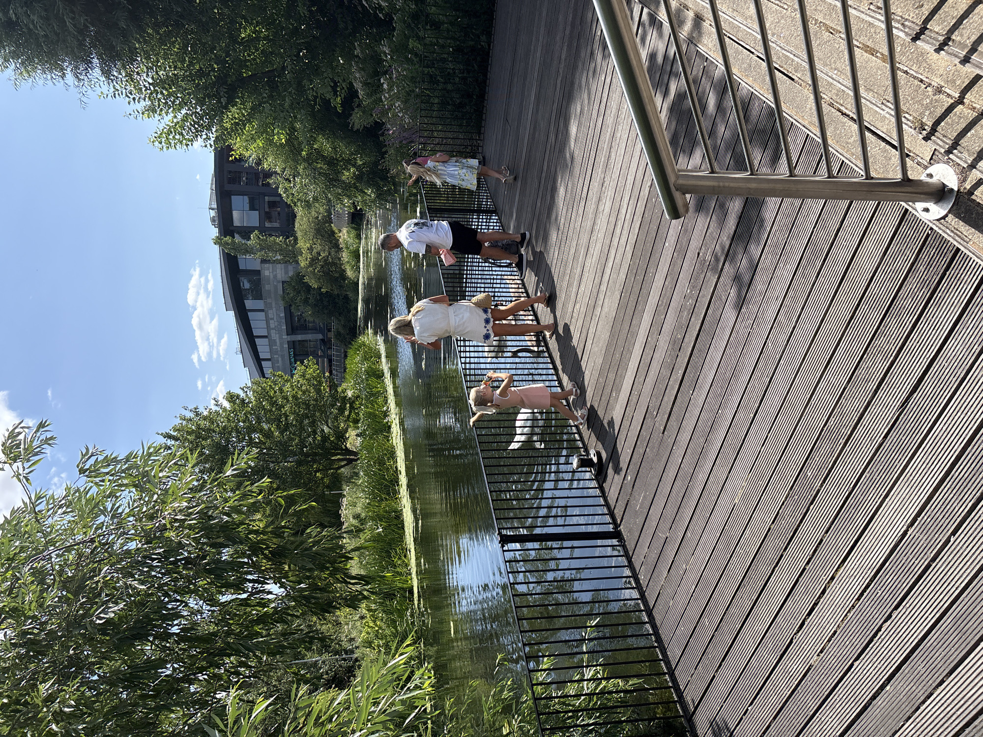 A family is feeding swans on a sunny day at the Chelmsford city center canal. The family includes a man, two young girls, and a woman. The wooden deck they are standing on is in the foreground, and the canal is on the left. In the background, there are trees and a modern building.