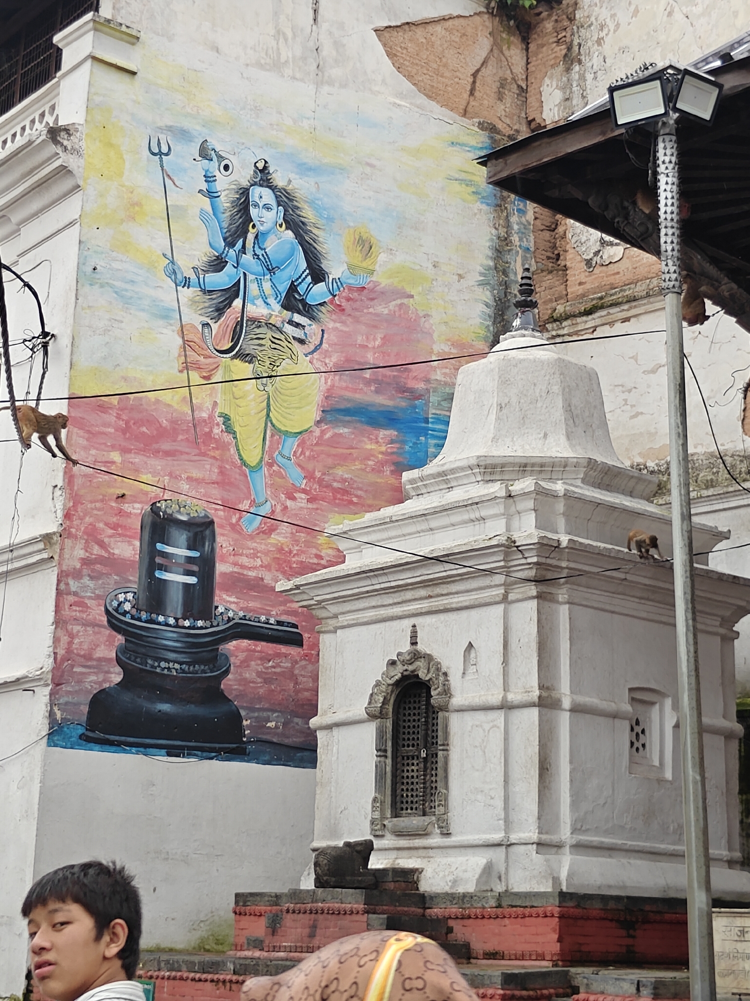 A religious mural depicting a multi-armed blue deity, possibly Shiva, with a trident and drum, is painted on a textured, off-white building in Kathmandu. Below the mural, a large black Shiva Lingam is depicted. To the right of the mural, a white, multi-tiered structure resembling a temple or shrine has a dark wooden roof and is illuminated by modern floodlights on a pole. Several monkeys are visible: one is climbing on a wire in front of the mural, another is on the roof of the shrine, and a third is on the ledge of the shrine. In the foreground, a young person with dark hair looks towards the camera. The overall environment suggests an urban, cultural, and religious setting in Kathmandu, Nepal.