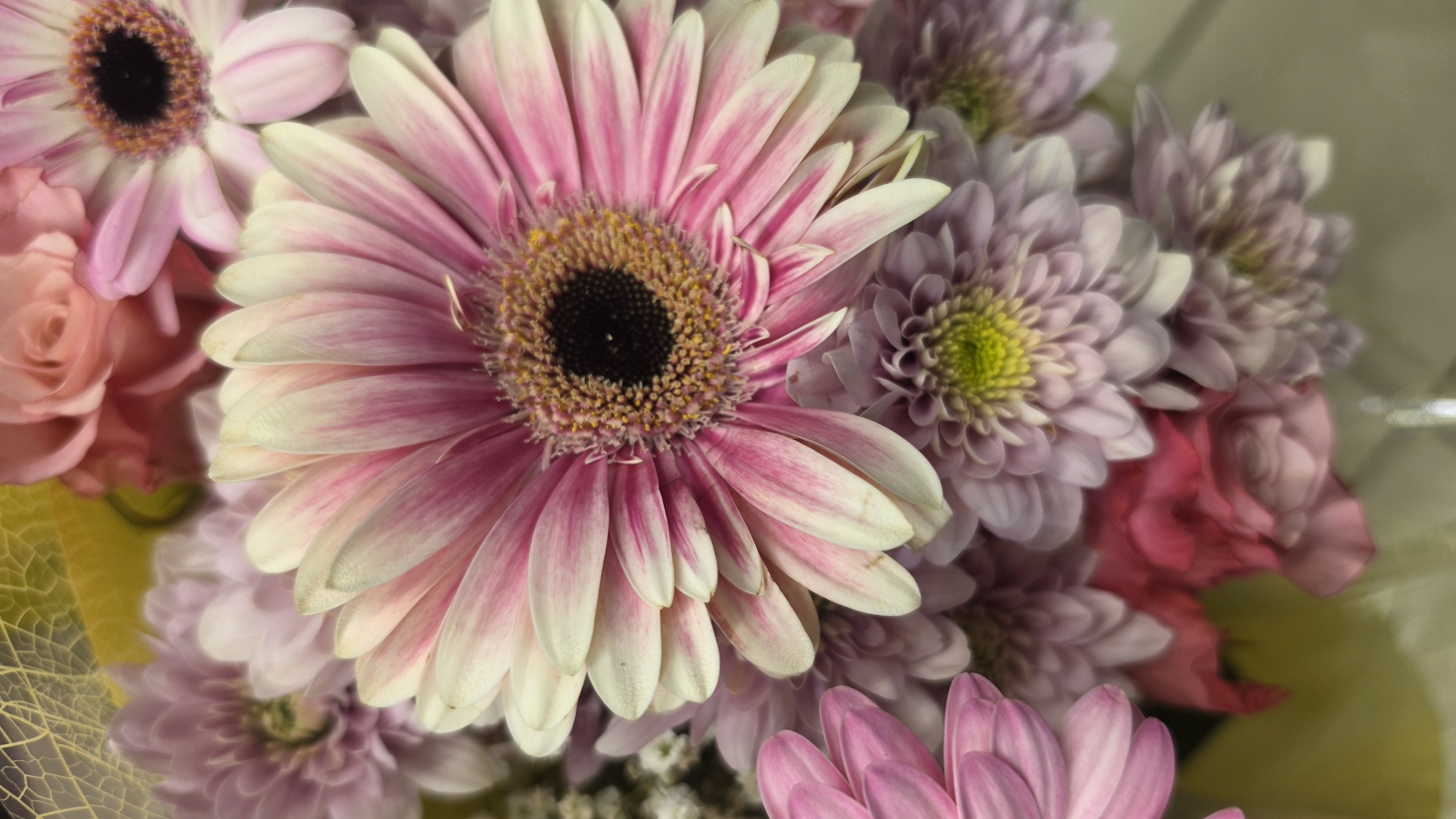 The image displays a close-up, vertical shot of a bouquet of flowers. The primary focus is on a large pink and white Gerbera daisy with a dark center, positioned in the foreground and slightly off-center to the left. Behind it, several other flowers are visible, including smaller pink chrysanthemums and a rose. The background is softly blurred, with hints of yellow foliage and other floral elements. The lighting appears soft and natural, highlighting the delicate textures and colors of the blooms. The image appears to be an indoor still life, without any identifiable features of Jūrmala, Latvia.