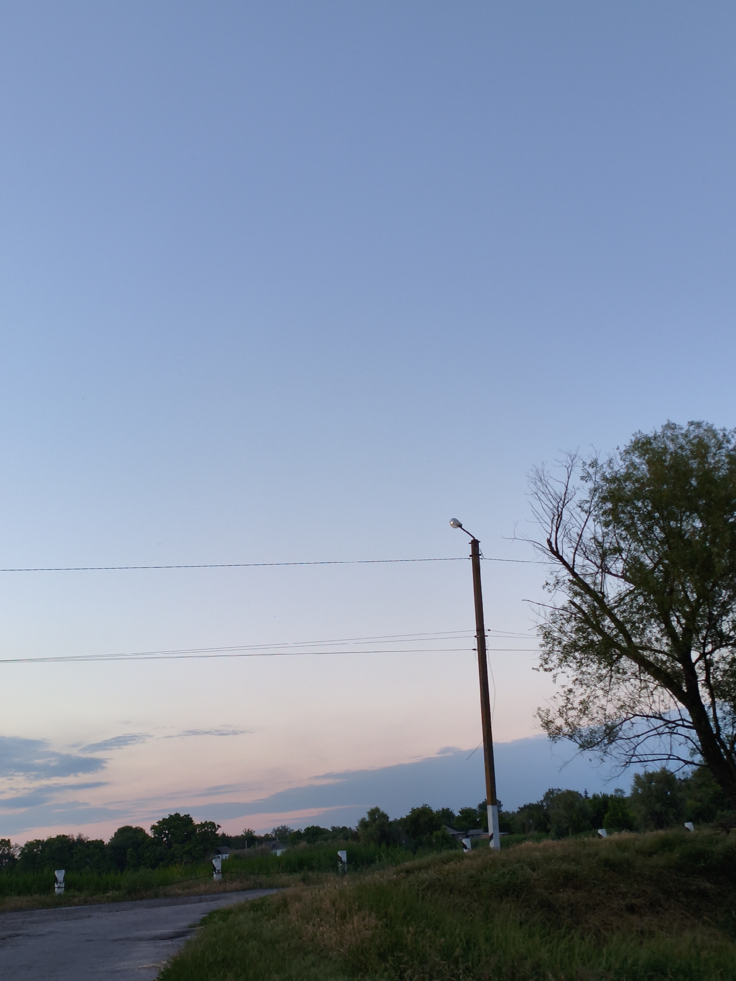 The image depicts a rural landscape at dusk near Ustyvytsia, Ukraine. The sky is a pale blue, transitioning to soft pink and lavender hues near the horizon where scattered clouds are visible. A utility pole with a single lamp stands prominently in the mid-ground, with power lines stretching horizontally across the frame. To the right of the pole, the dense foliage of a deciduous tree is seen, its branches silhouetted against the sky. The foreground features a paved road curving to the left, bordered by dry grass and vegetation. In the background, a line of trees marks the distant horizon, with glimpses of a few small structures. The scene is quiet and serene, characteristic of a rural evening.