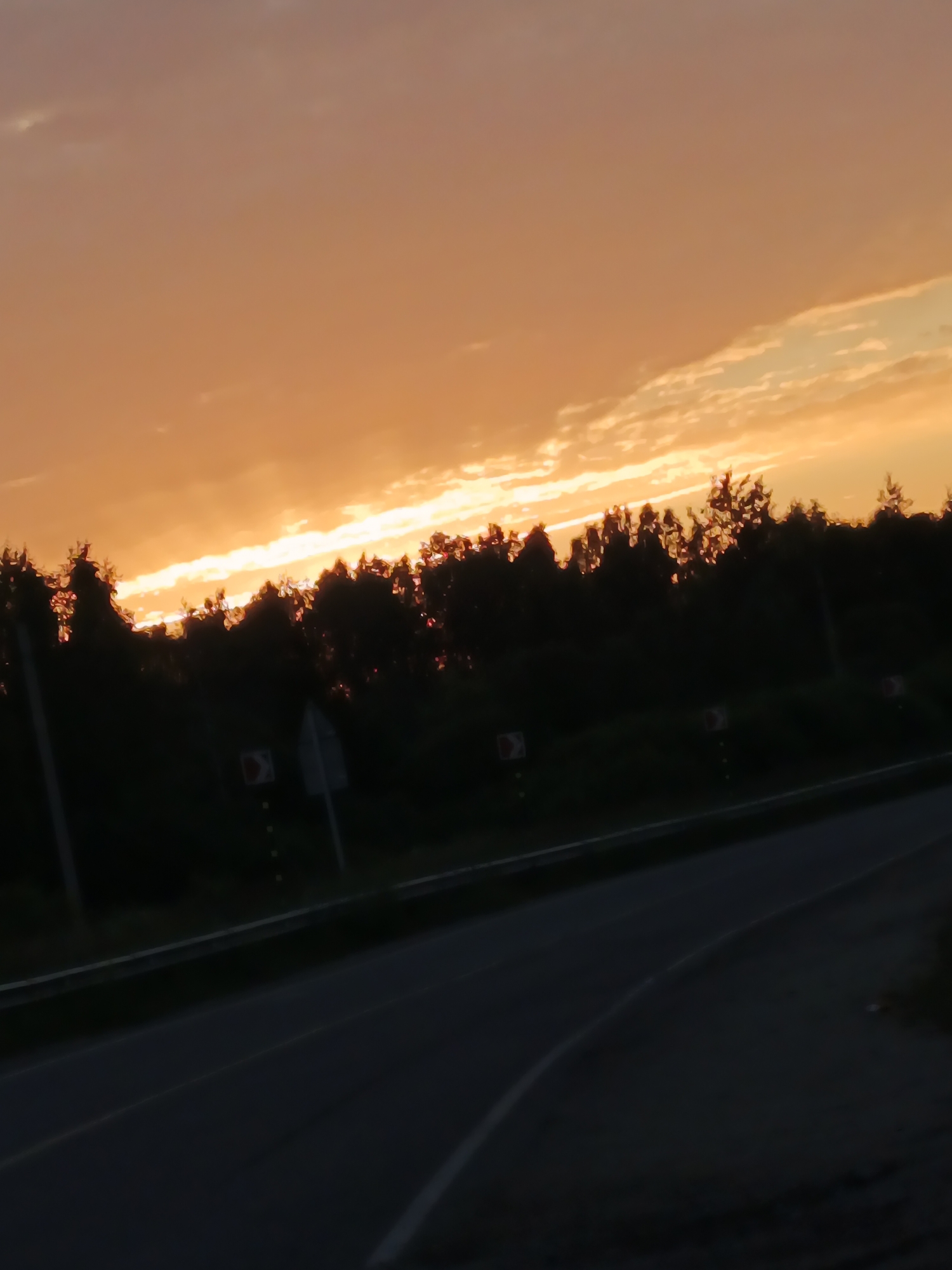 A dark, silhouetted tree line runs horizontally across the middle of the image, with a brightly lit orange and yellow sunset sky above. The sky is filled with wispy clouds, with a particularly bright band of light stretching from the left to the right. Below the tree line, a dark asphalt road curves diagonally from the bottom left to the bottom right. The road appears to be a highway or a country road, with a guardrail visible on the left side and some traffic signs with red arrows indicating curves. The overall scene suggests an evening drive through a rural or semi-rural area, possibly on the outskirts of Воскресенское, Russia, given the context provided. The low lighting conditions indicate that it is either dusk or dawn.