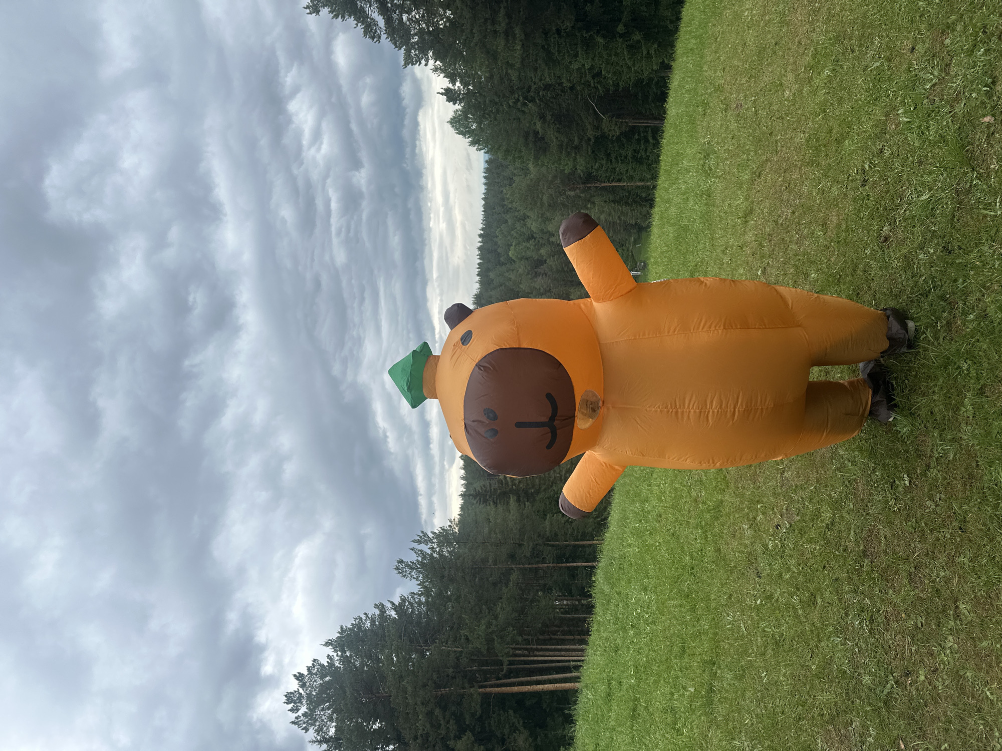 The image shows an inflatable, orange, cartoon-like figure lying on a grassy field. The figure has a round brown face with a simple line for a mouth, brown ears, and a green hat. The background includes a forest of pine trees and a cloudy sky. The location is Прикамский, Russia.