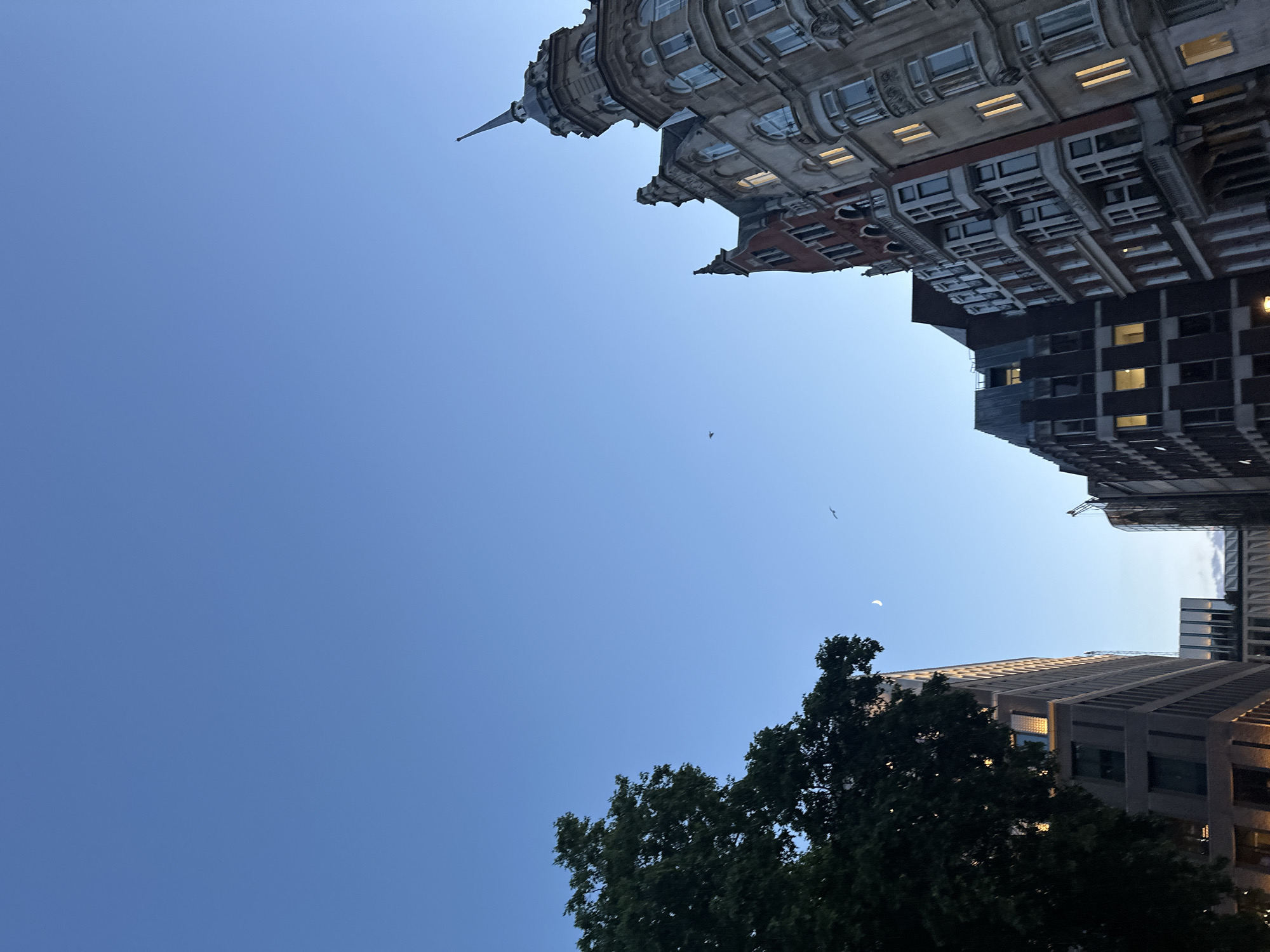 An upward-facing shot of buildings in the city of London, United Kingdom, at dusk. The sky is a deep blue, with a sliver of the moon visible on the left. There are at least three distinct buildings visible. On the far left, a large, dark green tree partially obscures a modern, light-brown building with rows of windows. To the right of this, several older buildings with ornate architecture rise, characterized by stone facades, multiple windows, and pitched roofs. The building on the far right features a spire and a grey stone exterior. Lights are visible in some of the windows of these older buildings. Two birds are visible in flight against the sky. The overall impression is of an urban landscape transitioning from day to night.