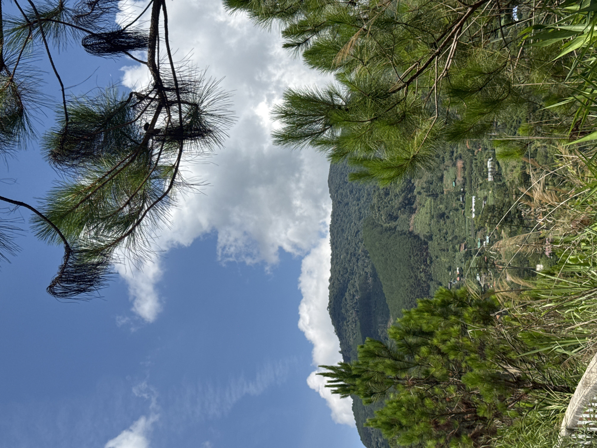 A verdant mountainside is visible with blue skies and scattered clouds. Branches of coniferous trees frame the scene. Houses dot the mountainside. The image appears to be from Xuan Huong - Da Lat, Vietnam.