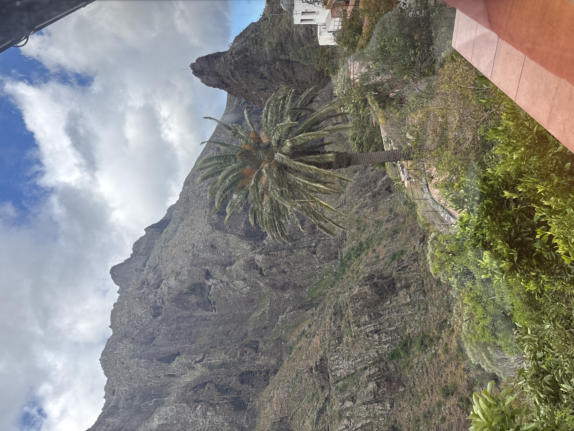 The image depicts a mountainous landscape with a palm tree in the foreground. The location is Buenavista del Norte, Spain. The mountain face is steep and rocky. The sky is partly cloudy. A structure is visible atop the mountain in the background. Green vegetation grows on the right side of the frame, adjacent to the palm tree. The image is taken from an elevated position, possibly through a window.