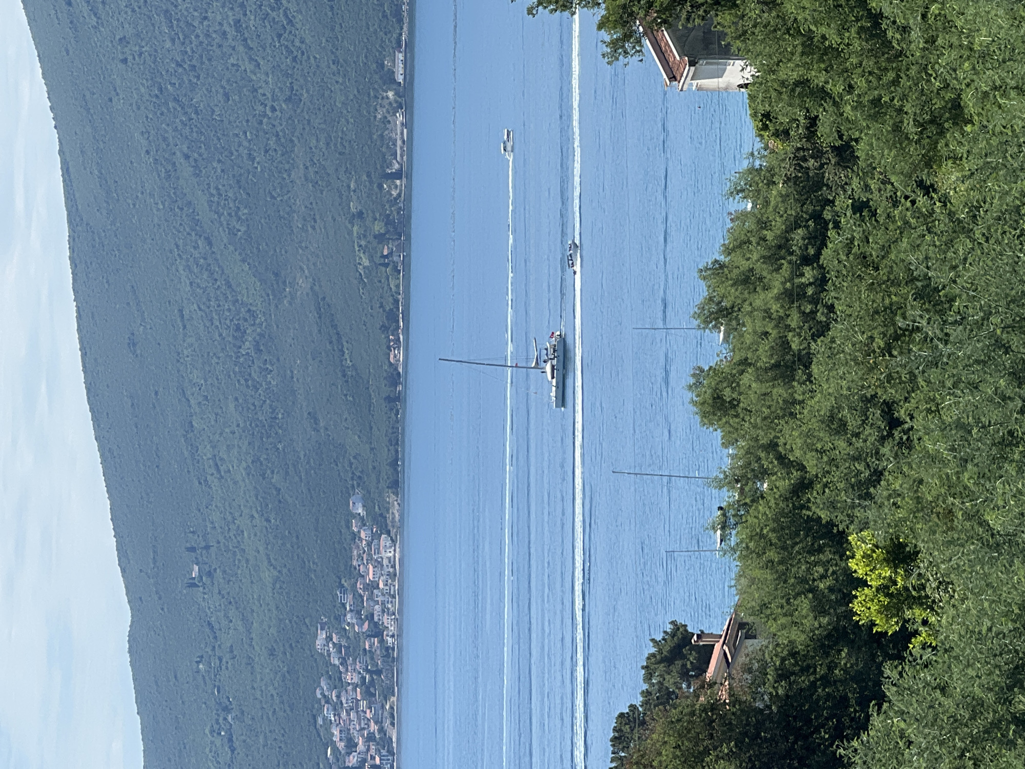 The image shows a view of the Bay of Kotor in Baošići, Montenegro. The bay is predominantly blue, with boats visible on the water. A larger sailboat is accompanied by a smaller boat, both leaving white wakes. There are two other boats further away. The coastline is lined with buildings. A densely vegetated hillside rises sharply on the left side of the image. In the foreground, trees frame the right side of the view. The image is taken from an elevated position overlooking the bay.