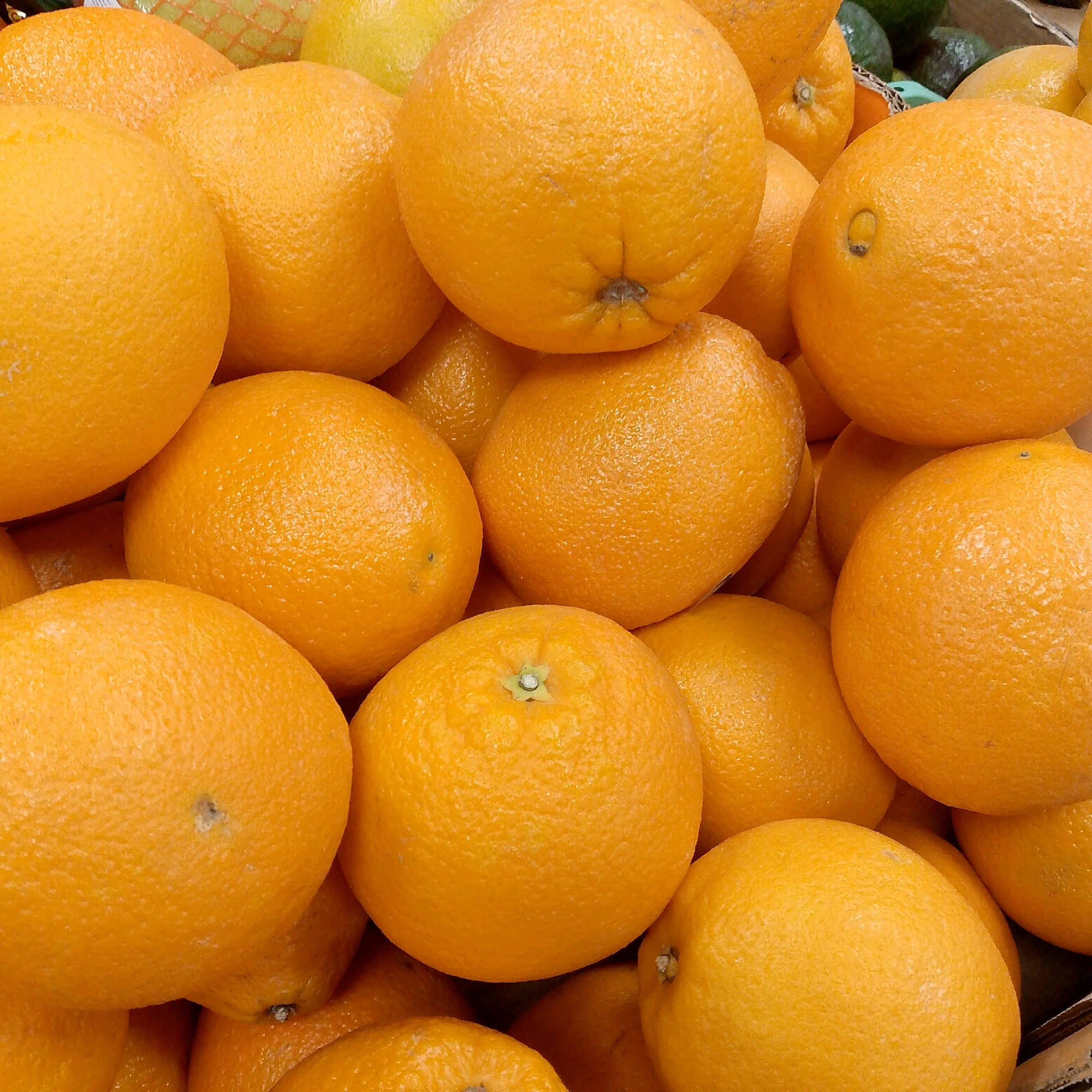 A close-up, overhead shot shows a pile of bright orange citrus fruits, likely oranges, filling the frame. The fruits are textured and have visible dimples and imperfections, indicating they are fresh produce. Some are round and smooth, while others show slight indentations where they meet or have stems. In the background, out of focus, are hints of other fruits and possibly a mesh bag, suggesting this is a market or produce stand. The lighting is bright and even, highlighting the vibrant color of the oranges. The scene appears to be indoors, with a hint of a cardboard or wooden structure at the bottom right edge of the frame. There are no people or identifiable landmarks present in the image. The specific location in Vyazniki, Russia, is not discernible from the visual information provided.