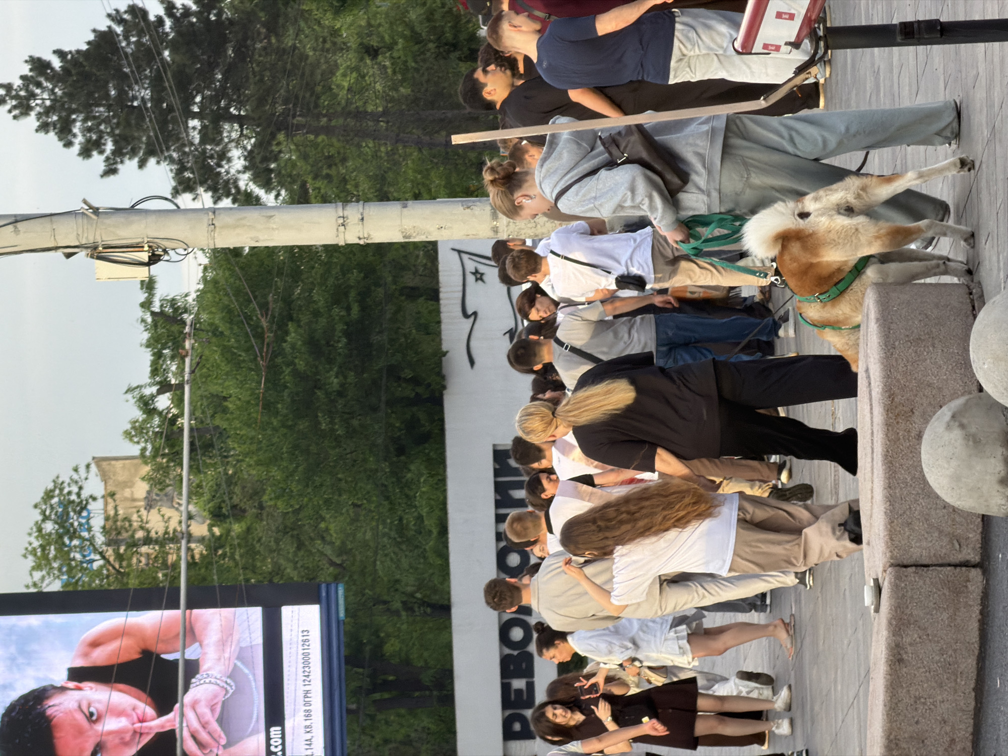 The image shows a crowd of people gathered in a public area in Rostov-on-Don, Russia. The individuals are diverse in appearance and clothing, suggesting a mix of ages and backgrounds. A dog on a leash is visible within the crowd. In the background, trees and a building facade can be seen. To the left, a billboard displaying an advertisement is present. The setting appears to be a sidewalk or pedestrian area, possibly during an event or gathering.
