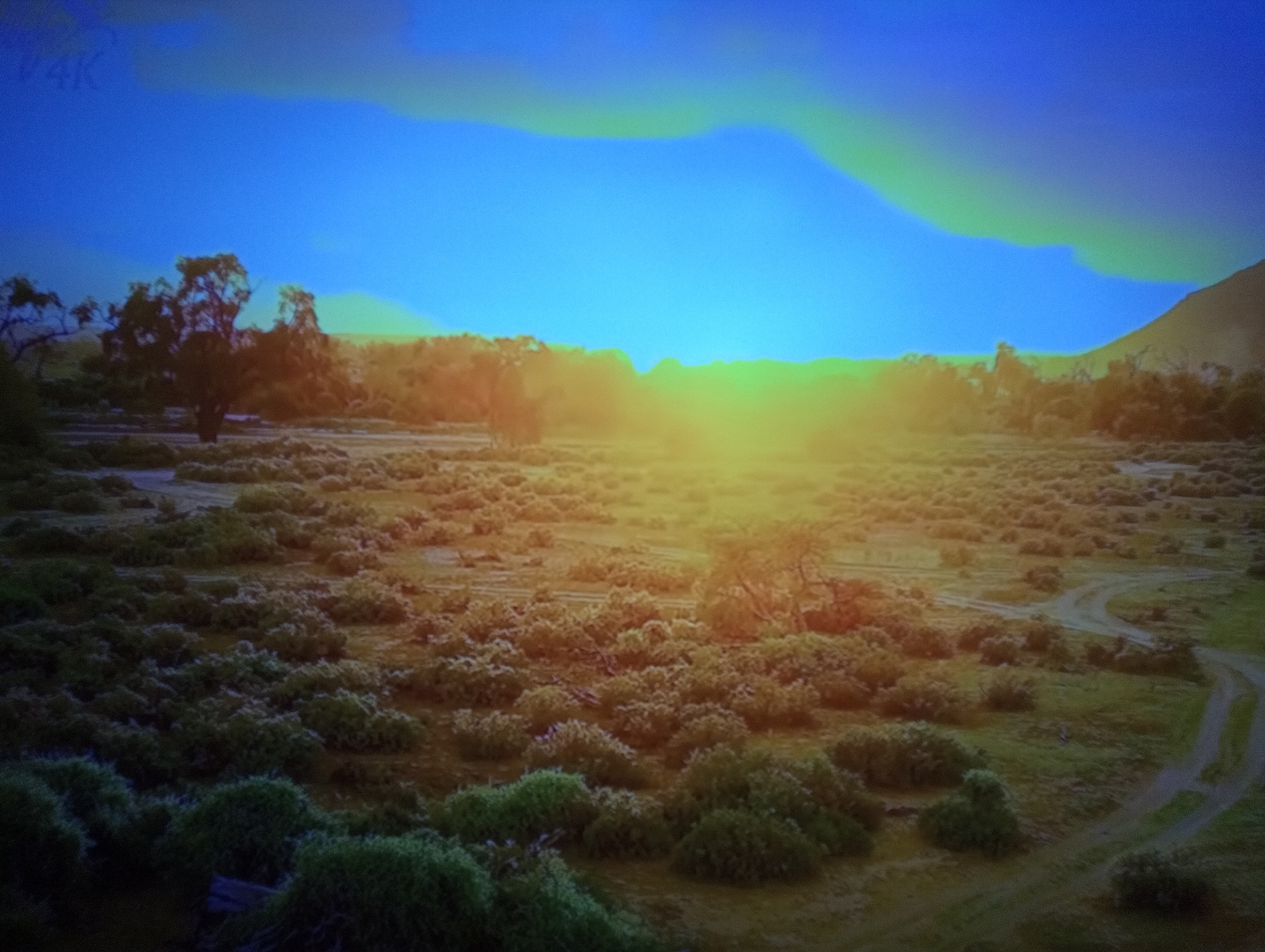 The image depicts a wide, sun-drenched landscape characterized by a vast expanse of low-lying scrub brush and scattered trees. The sky is a vibrant blue, with wisps of green and yellow clouds near the horizon, suggesting either sunrise or sunset. In the foreground, the vegetation appears dense and somewhat dry, with patches of lighter green and brown hues. In the middle ground, a few larger trees are visible, silhouetted against the bright sky and the warm glow of the sun. A dirt road or track winds its way through the landscape, disappearing into the distance. In the far background, a mountain or large hill is visible on the right side of the frame, partially obscured by the haze. The overall impression is one of a natural, undeveloped environment, likely a savanna or grassland region, bathed in the soft, golden light of the sun. There are no people or animals visible in the scene. The lighting and atmospheric conditions suggest an outdoor setting during the golden hour.