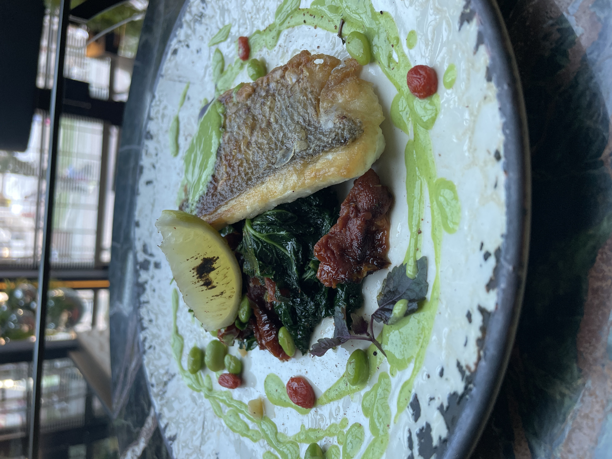 A close-up shot shows a prepared dish on a round, light-colored plate with a dark rim. The main component appears to be a piece of pan-fried fish with a crispy skin, resting on a bed of dark leafy greens and sun-dried tomatoes. A slice of lemon is placed beside the fish. Green puree is artistically drizzled around the dish and scattered green beans and cherry tomatoes. The scene appears to be indoors, next to a window. Light enters the shot from the left. The location and city are unknown.
