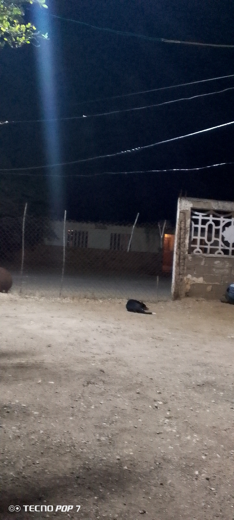 The image shows an outdoor scene at night in Altagracia, Venezuela. The ground is dirt and gravel. A black dog lies on the ground near a chain-link fence. Behind the fence is a white building with barred windows. A concrete structure with a decorative cutout design stands to the right of the dog. Power lines are visible against the dark sky. A light source illuminates the scene from the upper left. The words "TECNO POP 7" are visible at the bottom of the image.