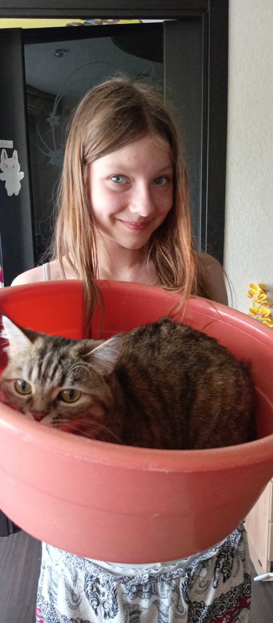 A girl with long brown hair and blue eyes holds a reddish-pink plastic tub. A tabby cat with green eyes sits inside the tub. The girl smiles at the camera. Behind her is a dark door with a white bunny sticker. A wall with a yellow floral decoration is to the right. The girl wears a white tank top and a skirt with a white and gray pattern. The location is in the city of Unknown, Unknown.