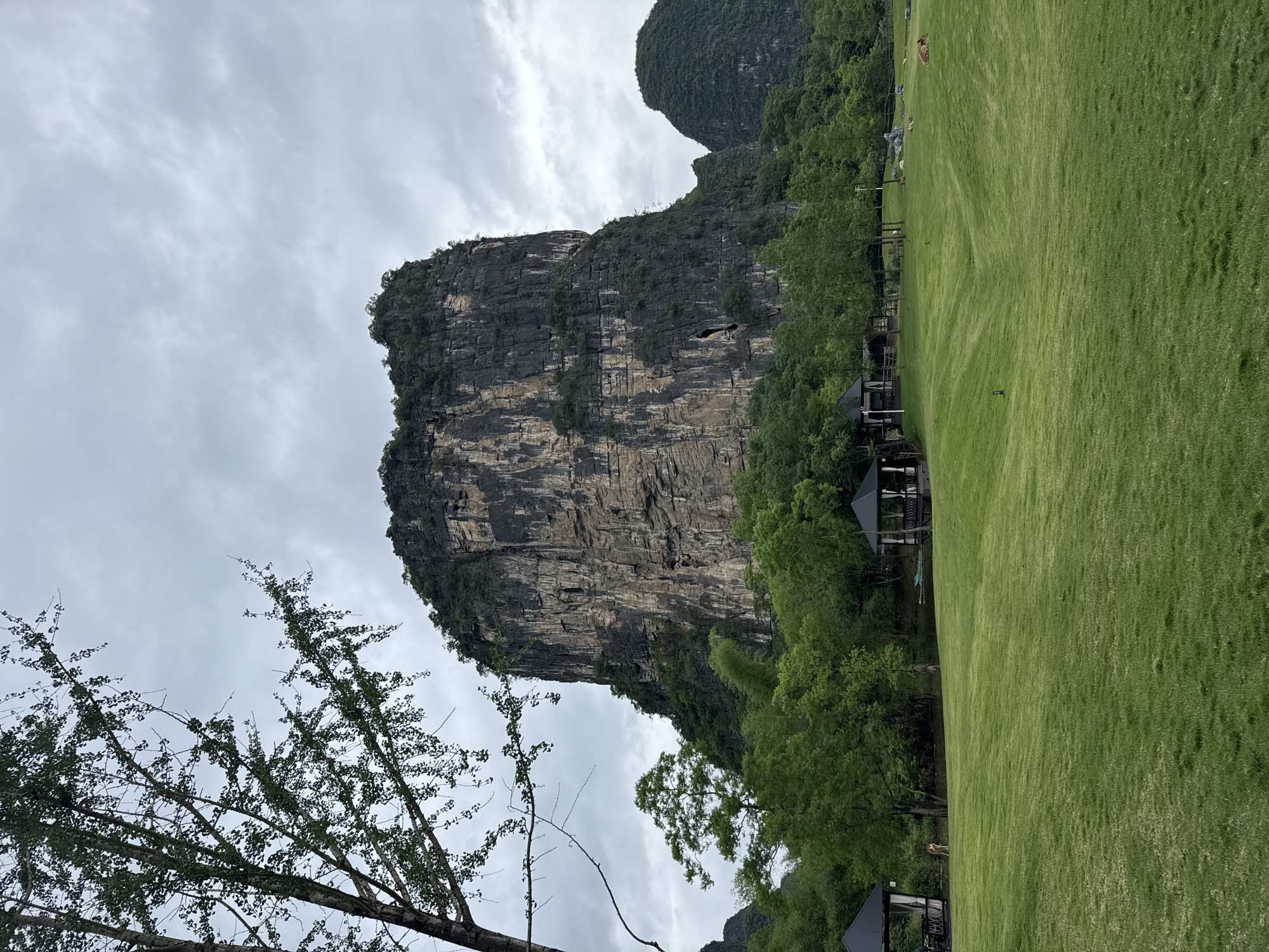 The image captures a scene in Guilin, China, showcasing a dramatic limestone karst mountain formation. The mountain, layered with horizontal striations and interspersed with patches of vegetation, dominates the landscape. At the base of the mountain, a thick canopy of trees transitions into a manicured green lawn. Scattered gazebos are positioned along the border where the trees meet the grass. The sky is overcast with a blanket of gray clouds. In the lower-left corner, a leafless tree branch extends into the frame. The scene is otherwise devoid of human activity.