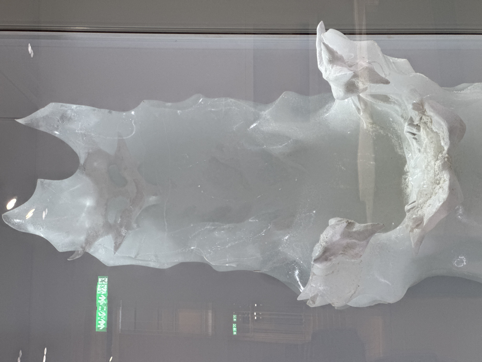 An abstract ice sculpture stands in what appears to be a museum display case. The sculpture is predominantly translucent and white, with some cloudy or opaque sections and embedded lighter-colored material resembling sand or fine gravel. The form is irregular and fluid, with sharp, jagged edges at the top and a more bowl-like or basin-like structure at the bottom. Reflections are visible on the surface of the display case, including a green illuminated sign with Japanese characters, possibly an emergency exit sign. The background within the case is indistinct, but suggests a dimly lit interior. The overall impression is of a cold, organic, and possibly fragile artistic creation. The scene is located in Unknown, Unknown.