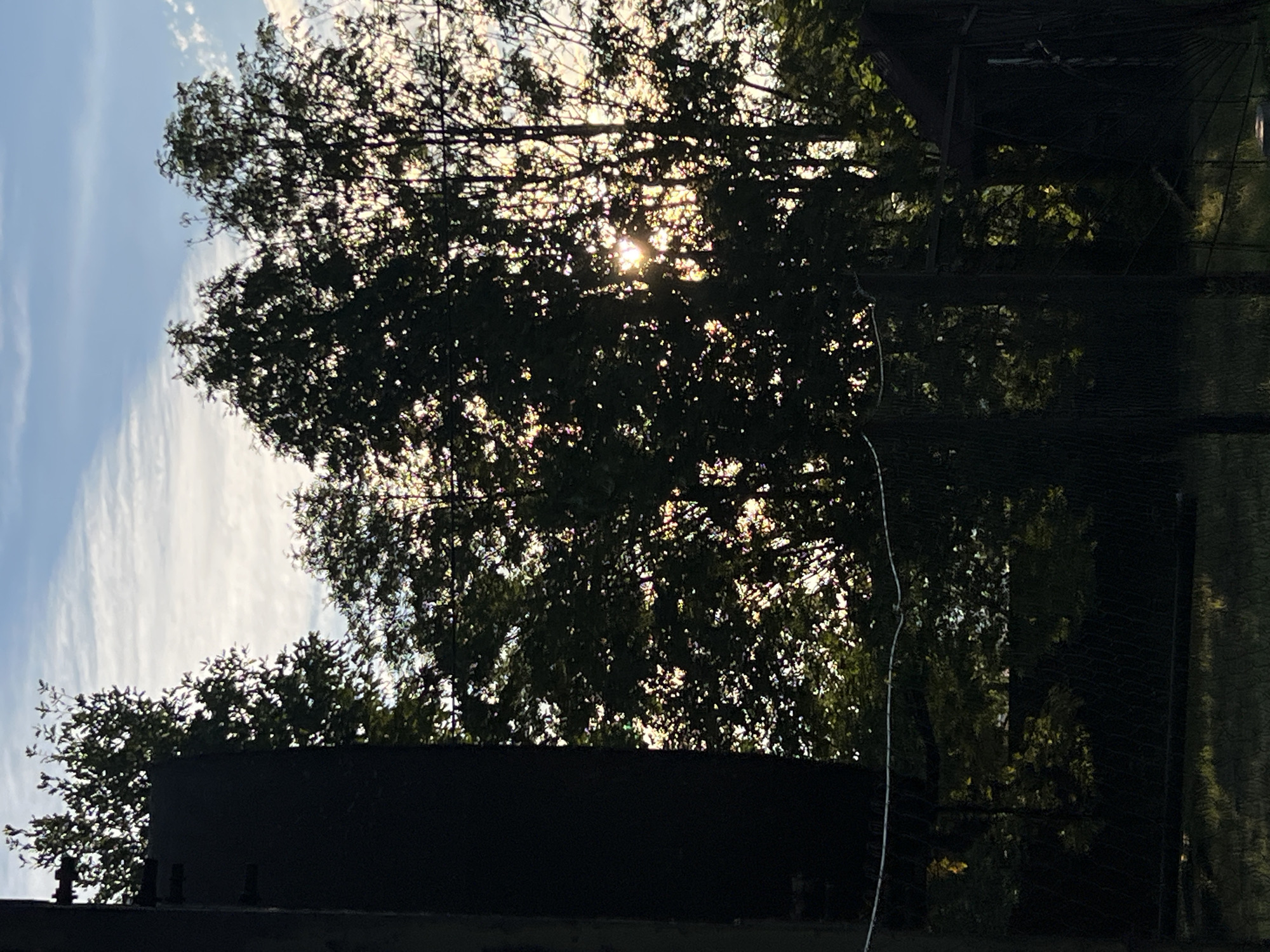 The image depicts an outdoor scene with a dark, silhouetted structure on the left, partially obscuring a dense canopy of trees. Sunlight filters through the leaves of the trees, creating a dappled effect and highlighting some of the foliage. The sky above is blue with scattered white clouds. In the foreground, a wire fence runs horizontally across the frame. The ground appears to be covered in grass, with some shadows cast upon it. The overall impression is one of a natural environment adjacent to an industrial or man-made element. The location is Strakhovo (Sitnikovskii S/S), Russia. There are no people or animals visible in the image, and no actions or interactions are depicted.