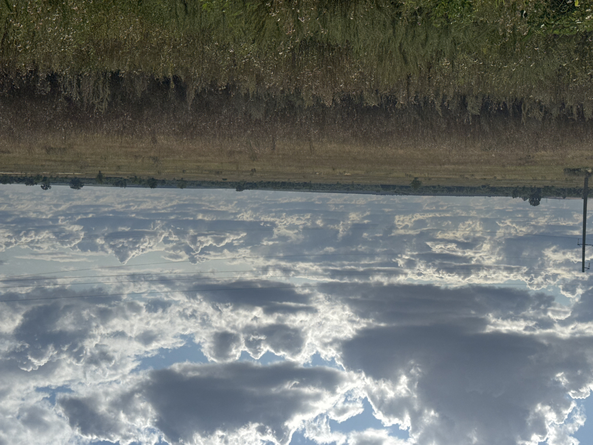A wide shot captures a vast, dry grassland under a dramatic, cloud-filled sky. A single, tall, dark utility pole stands on the left side of the frame, with several horizontal wires stretching across the sky. The grassland is densely packed with dry vegetation, predominantly straw-colored with hints of green and darker brown at the base. In the far distance, a treeline forms a dark, undulating horizon. The sky is a dynamic mix of bright white and dark gray clouds, with patches of blue sky visible. The overall impression is one of a rural, natural landscape in the city of Novosergiyevka, Russia, characterized by open space and a slightly overcast sky.