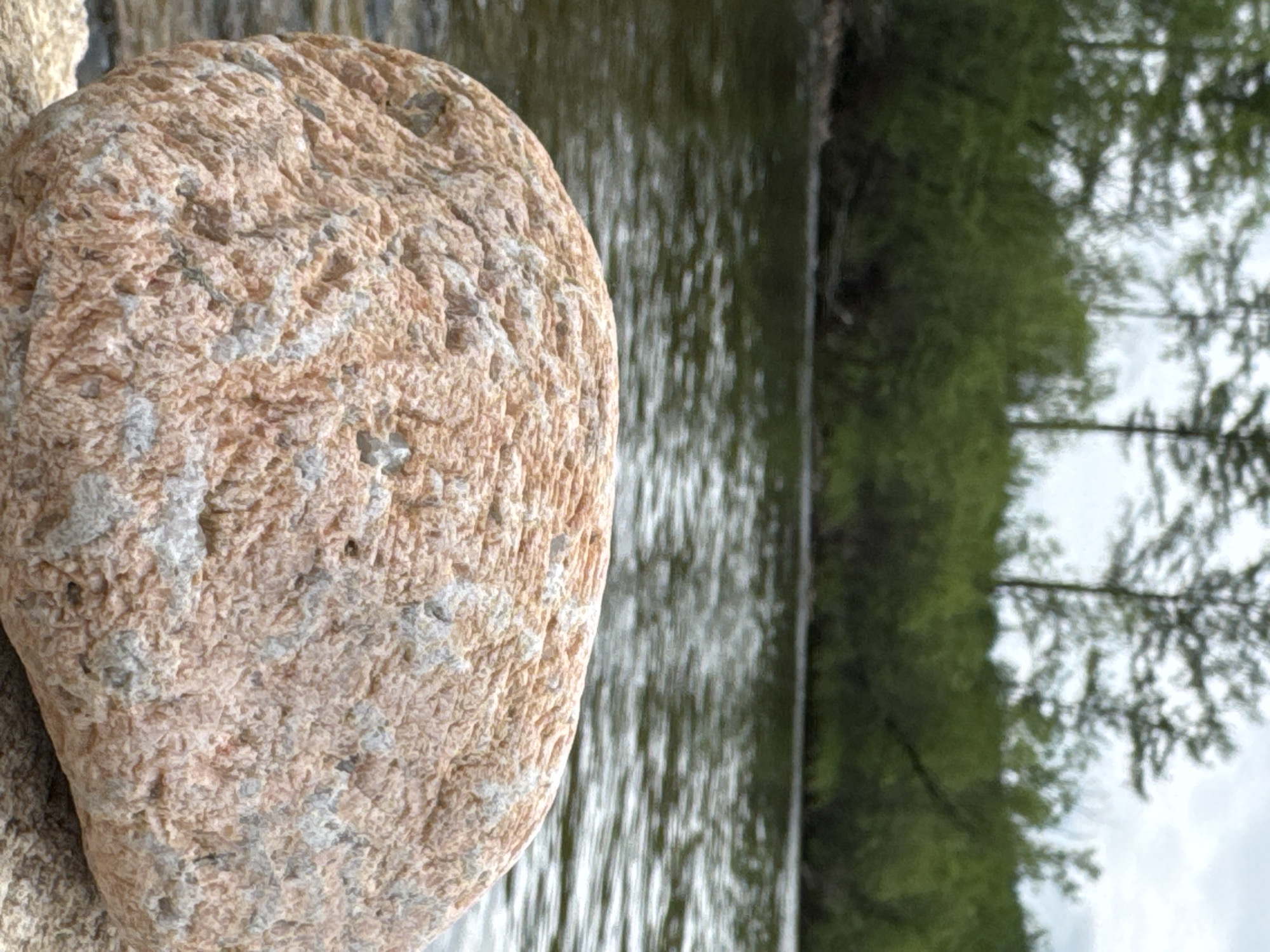 The image displays a close-up of a textured, pinkish-orange boulder resting on a sandy surface, with a body of water in the background. Beyond the water, a dense line of green trees and taller pines are visible against a cloudy sky. The scene appears to be in a natural, outdoor environment. The location provided is Murtygit, Russia.