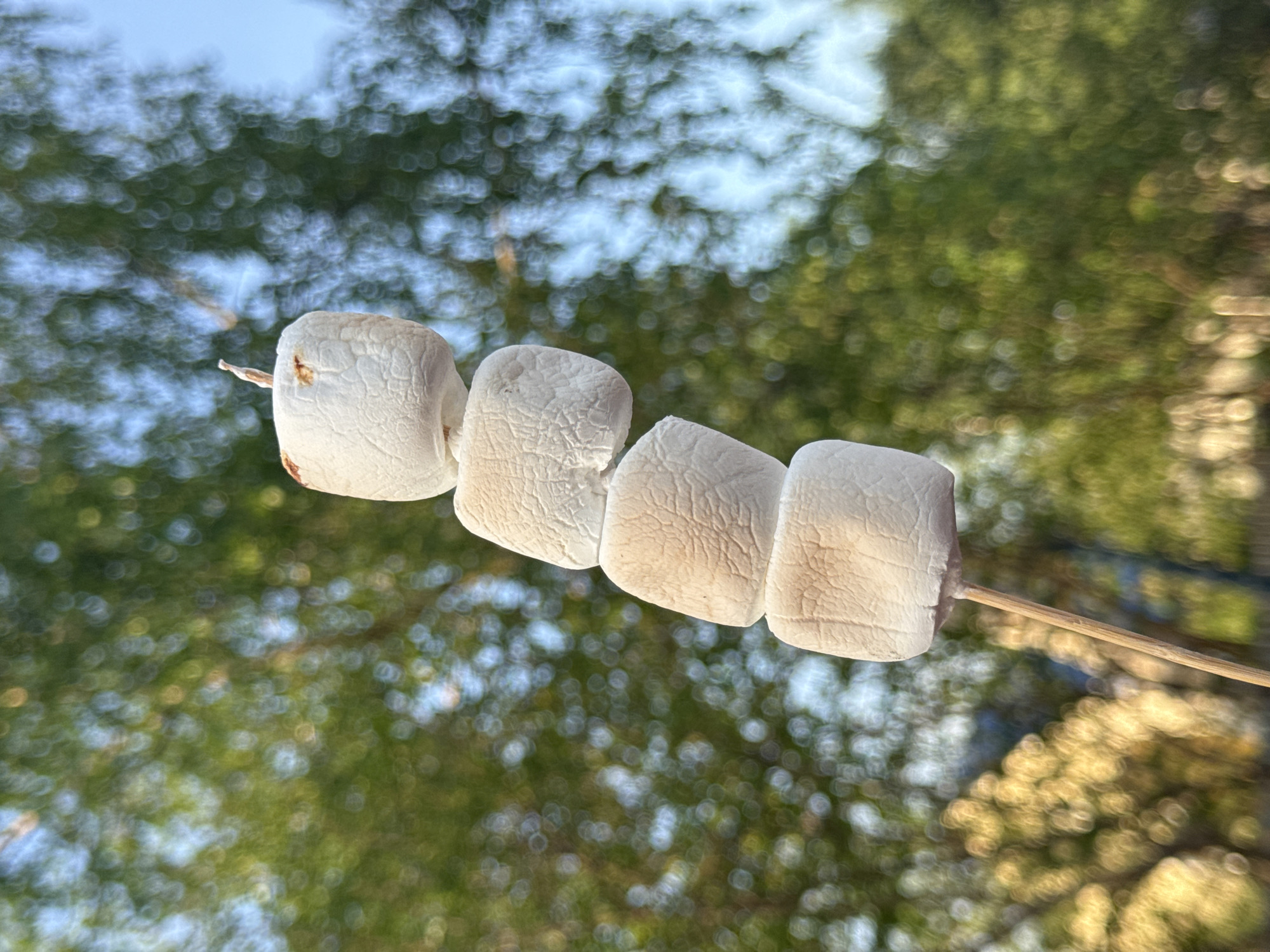 A close-up, low-angle photograph captures four white marshmallows impaled vertically on a thin, light-colored wooden skewer. The marshmallows exhibit varying degrees of surface browning and crinkling, consistent with having been roasted over a heat source; the topmost marshmallow shows prominent charring on its surface and the skewer tip. The background is rendered in a heavily blurred bokeh effect, forming soft, circular highlights of light and color. Predominant background colors include various shades of green, indicative of distant foliage or trees, interspersed with patches of light blue representing clear sky. The scene is brightly illuminated, suggesting natural daylight. No individuals or additional objects are visible beyond the skewer and marshmallows, and the natural, out-of-focus environment. This scene is located in the city of Высокий, Russia.
