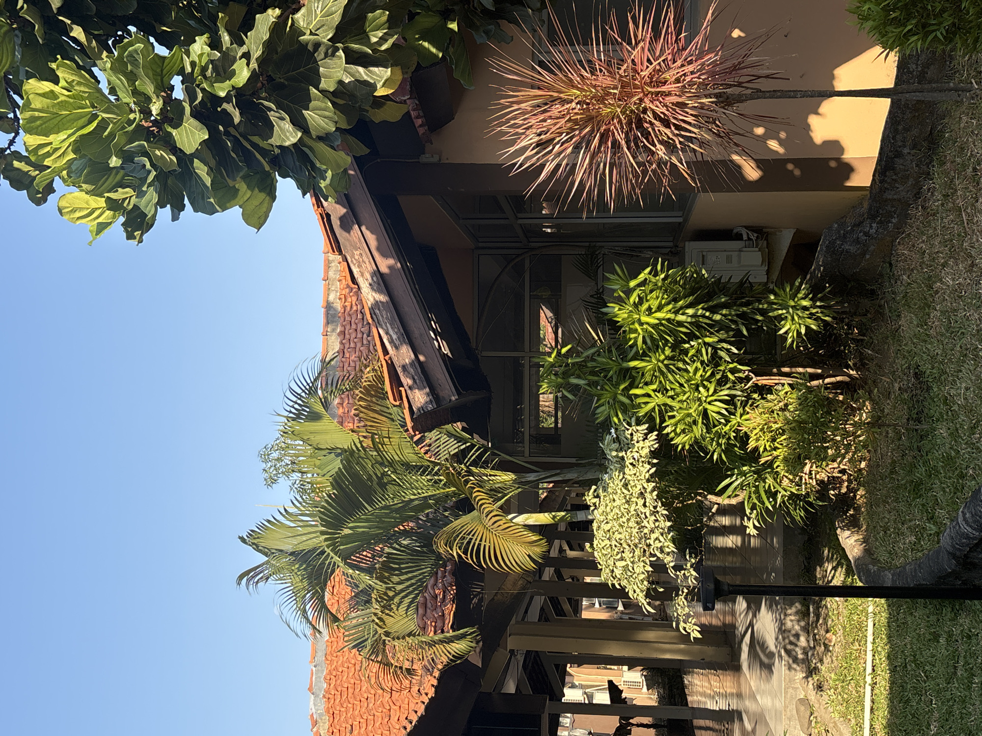 The image shows a sunny outdoor scene with a building featuring a red-tiled roof. In the foreground, there is a well-maintained garden with various plants, including a palm tree, a spiky reddish-pink plant, and lush green foliage. A black garden light is visible, along with a low stone border. The building appears to be a single-story structure with covered walkways and large windows. The overall impression is one of a tropical or subtropical residential or commercial property bathed in natural sunlight. Given the architecture and vegetation, this scene could be located in Cirebon, Indonesia, a coastal city known for its warm climate and vibrant plant life.