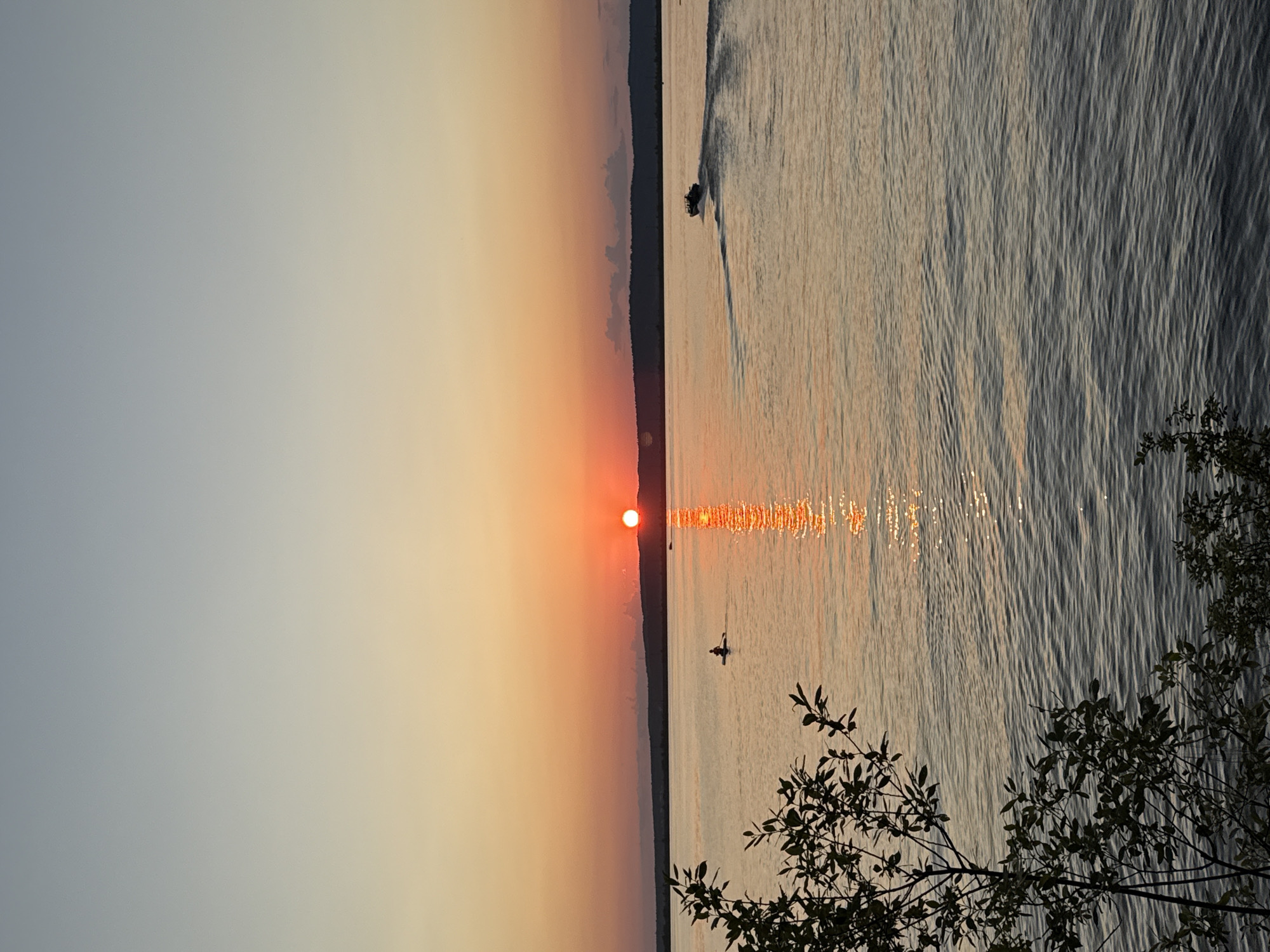 A serene sunset scene unfolds over a wide body of water, likely the Kama River in Chaikovsky, Russia, casting a warm, orange glow across the sky and reflecting a shimmering path on the water's surface. The sun, a bright orange orb, is low on the horizon, partially obscured by a distant, dark tree line that stretches across the landscape. In the foreground, the dark silhouette of a tree branch with green leaves adds depth to the composition on the left side of the frame.
Further out on the water, a lone individual is visible in a small watercraft, possibly a kayak or canoe, paddling away from the viewer. To the right, a motorboat is creating a visible wake as it speeds across the water, leaving a trail of white foam. The water itself appears calm, with gentle ripples disturbing the surface. The sky transitions from a pale blue at the top to a soft orange and pink gradient near the horizon, indicating the late hour of the day. The overall atmosphere is peaceful and tranquil.