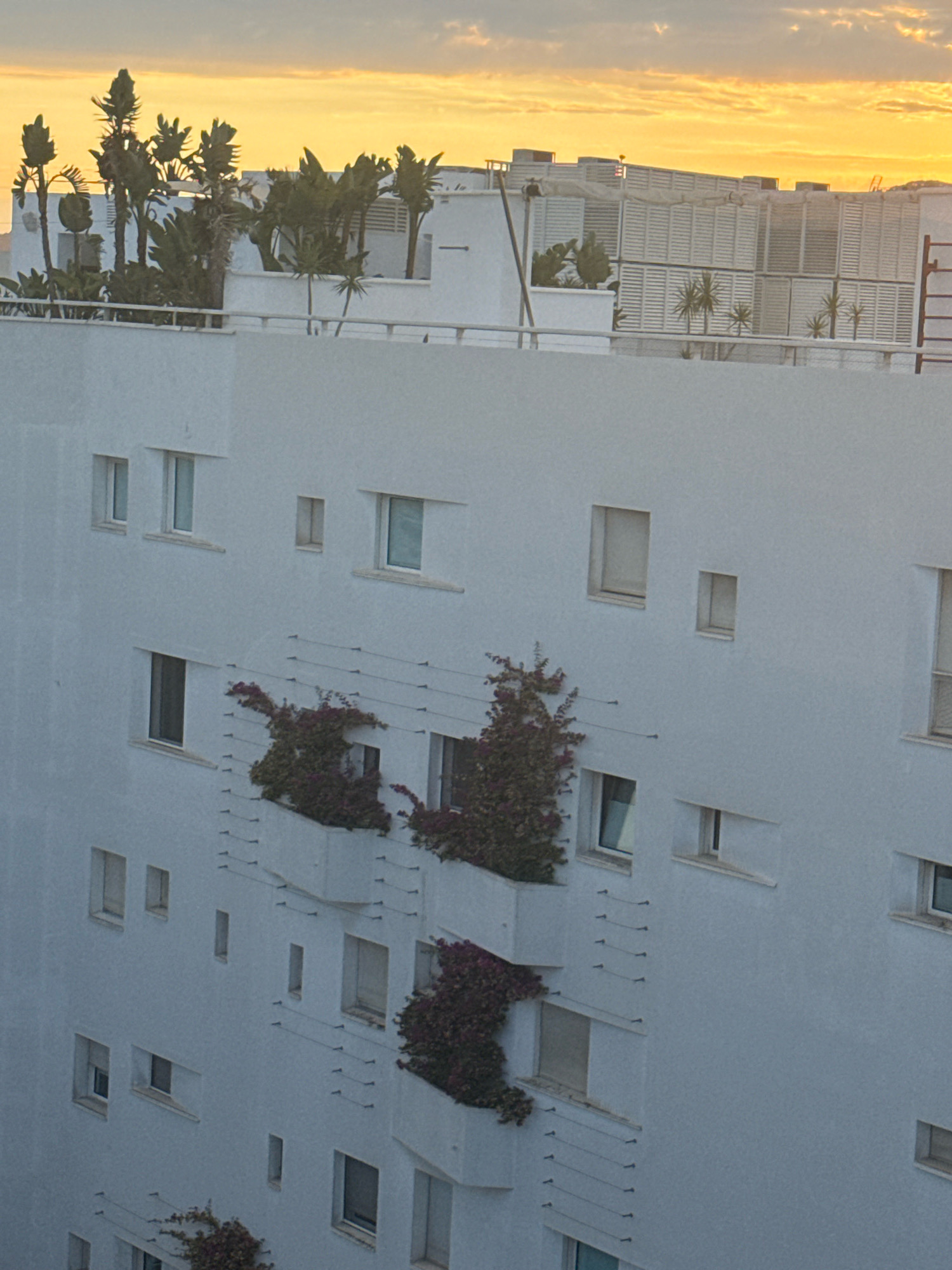 The image is a photograph of a white building with many windows and balconies, located in the city of Ibiza, Spain. The building has a modern architectural style, with clean lines and a minimalist design. The balconies are adorned with lush green plants and flowering vines, which add a touch of color and life to the otherwise stark white facade. The windows are of various sizes and shapes, some are rectangular, while others are square, and they are arranged in a seemingly random pattern across the building. The sky above is a warm orange and yellow, suggesting that the photograph was taken at sunset. The overall impression is one of a serene and tranquil urban landscape, bathed in the warm glow of the setting sun.