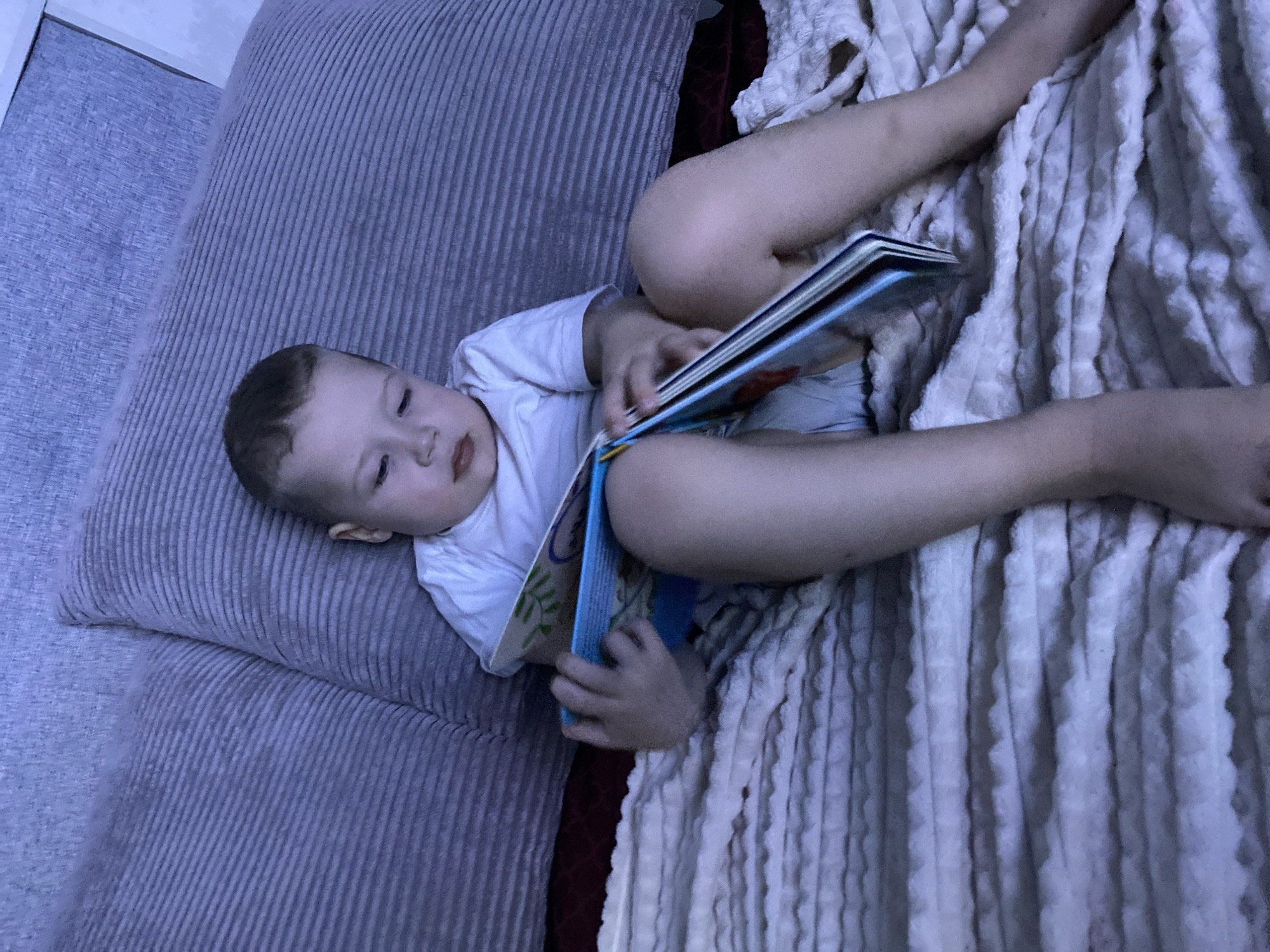 A young child lies on a bed reading a book. The child wears a white shirt. The bed consists of a grey corduroy pillow and a striped white blanket. There is no information about the location.