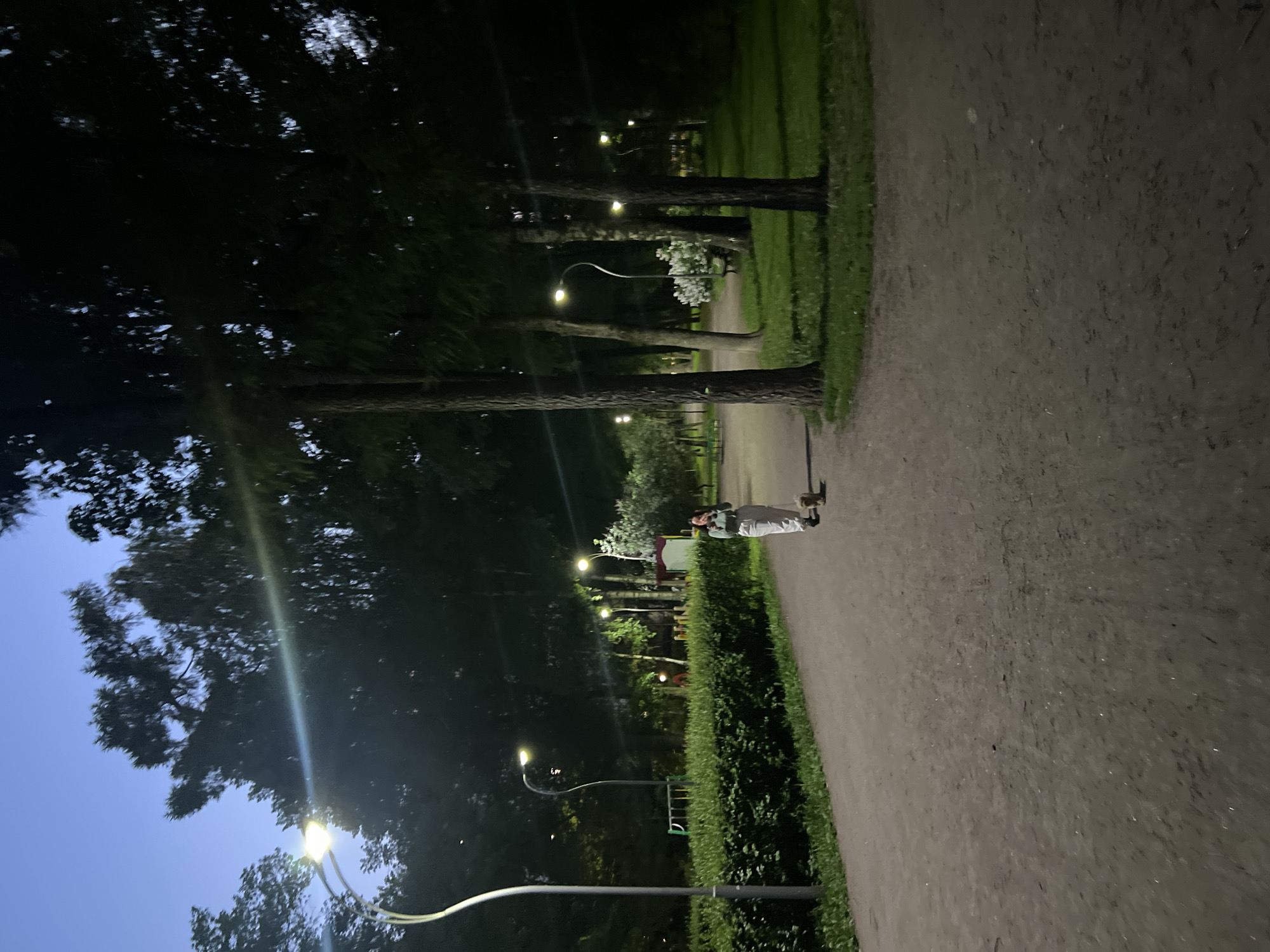 This image captures a park scene at night in the city of Unknown, Russia. The sky, visible in the upper left, is a deep twilight blue, transitioning to darker tones towards the top right.
The scene is illuminated by multiple bright streetlights with yellow-white light, creating lens flares and distinct pools of light. A wide, unpaved or gravel path, dark grey-brown in color and appearing somewhat damp or textured, occupies the lower half of the frame and curves gently to the right in the mid-ground.
On the left side of the path, a neatly trimmed green hedge runs longitudinally. Beyond the hedge, several streetlights with curved poles are visible, illuminating a grassy area and indistinct playground equipment (swings and slides) in the distance.
In the mid-ground, slightly right of center, an adult individual is walking a small dog on a leash. The person, appearing female, is dressed in light-colored attire, possibly white or light grey pants and a light top, and has dark hair. She is looking downwards towards the dog, which is a small, light-brown, fluffy breed, walking just ahead and to her right on the path.
To the right of the path, several tall, dark tree trunks rise from a grassy area. Further into the park, a cluster of white flowering bushes (possibly lilac) is brightly illuminated by another streetlight, revealing a park bench beneath them. Additional streetlights are scattered throughout the park, casting light on the surrounding trees and foliage, which appear mostly dark against the artificial illumination. The overall impression is a tranquil, artificially lit park environment during the night.