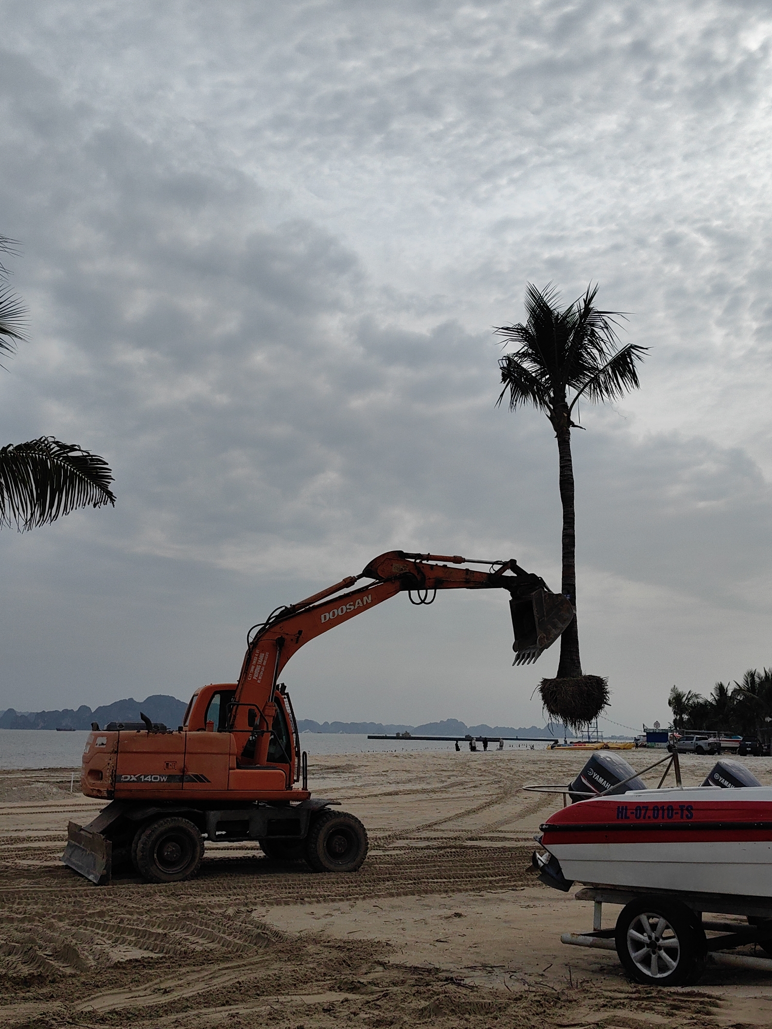 An orange Doosan DX 140W excavator is captured on a sandy beach under an overcast sky, engaged in moving a large palm tree. The excavator's extended arm holds the base of a tall palm tree, its root ball visible within the bucket, suggesting landscaping or construction activity.
The scene is set on a wide, sandy beach in a coastal area, likely Bai Chay Ward, Vietnam. Tire tracks and disturbances on the sand are evident around the machinery. In the mid-ground to the right, a white speedboat with a red stripe is parked on a trailer. The boat is equipped with two "YAMAHA" outboard motors and has the registration number "HL-07.010-TS" clearly visible on its hull.
The background features a calm body of water, possibly a bay, stretching towards distant limestone karsts or islands, characteristic of the Vietnamese coastline. Small, indistinct figures and other structures are visible further along the water's edge. The sky is heavily overcast with uniform grey clouds, indicating a cloudy day with diffused lighting and no direct sunlight. Text visible on the excavator includes "DOOSAN", "DX 140W", and partially visible Vietnamese text such as "C.TY THÀNH T", "PHƯƠNG", "TMED & VT", and "TRANG".