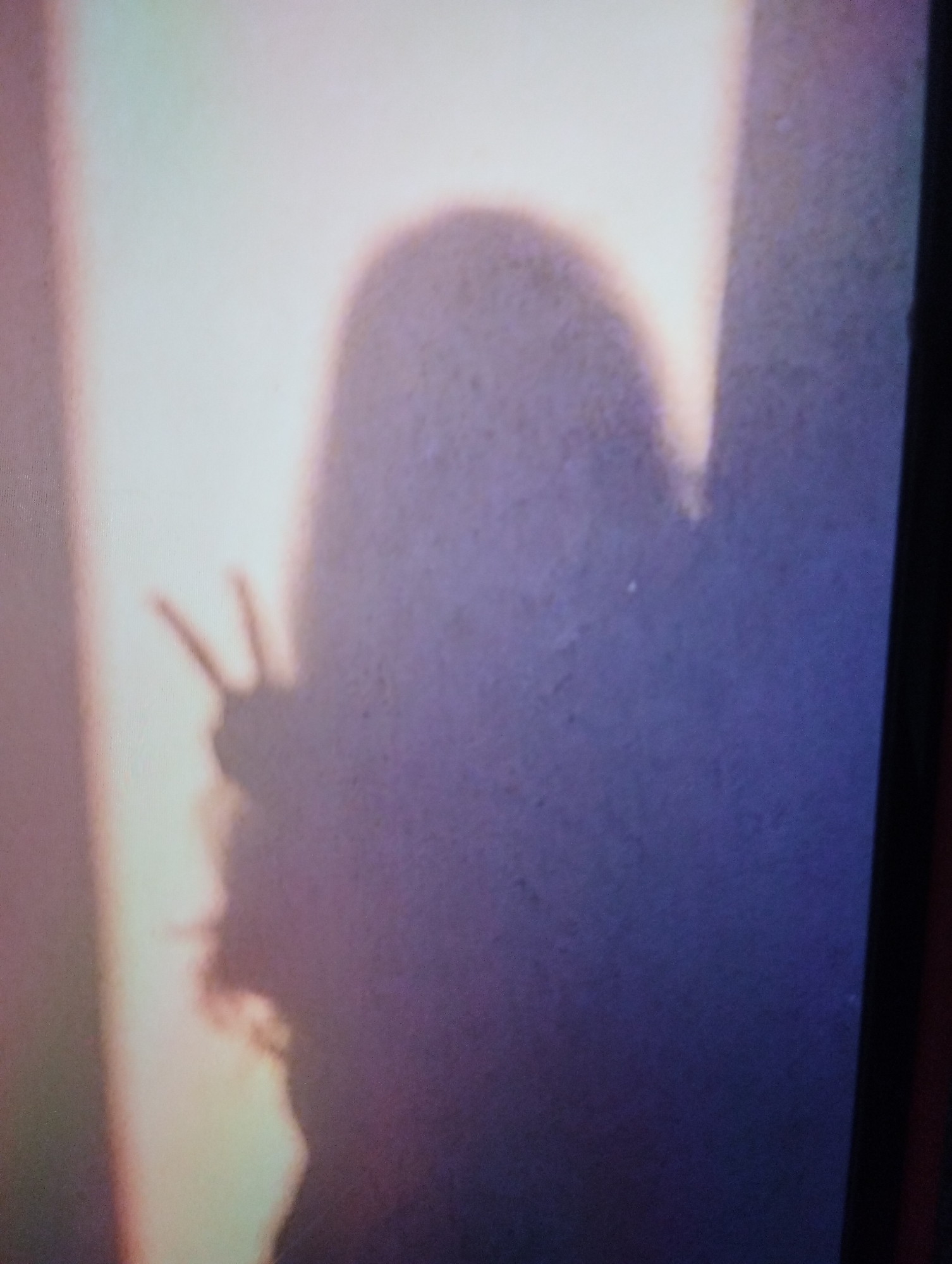 The image shows a blurry, low-light silhouette of a person's head and upper torso. The person appears to be making a peace sign with their fingers. The background is illuminated by a warm, yellowish light on the left, which transitions to a darker, purplish-blue hue on the right. The overall impression is of a shadow cast on a wall. There are no discernible details that would indicate a specific location in Baku, Azerbaijan, or any other city.