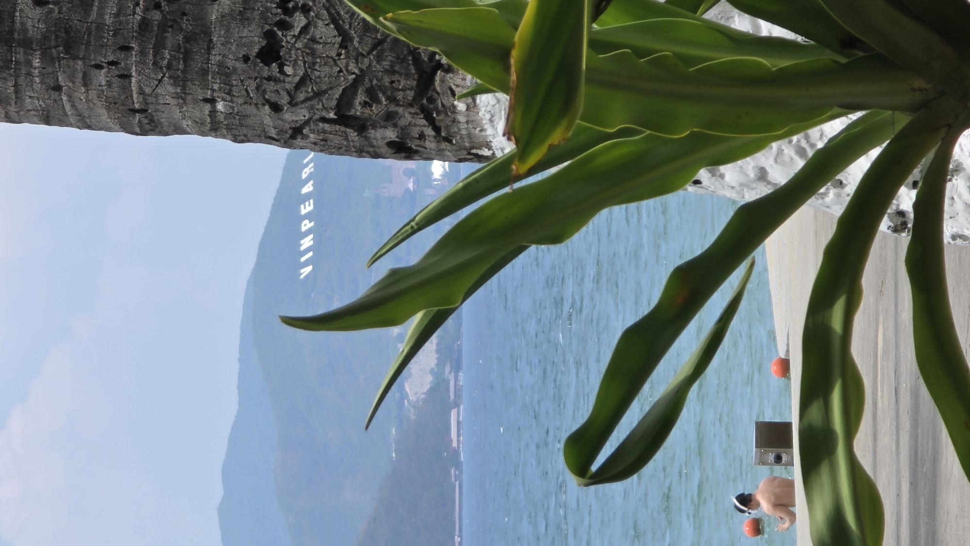 The image captures a scene in Nha Trang Ward, Vietnam, showing the beach. In the background, the Vinpearl letters appear on a mountainside. The foreground is dominated by palm tree foliage and a portion of a tree trunk, partially obscuring the view. A stretch of pavement with a low white wall is present, where an individual in swimwear and a diving mask wades in the water, marked by orange buoys. A small cabinet and what appears to be a camera are sitting on the pavement near the person. The water is calm, and the sky is clear.