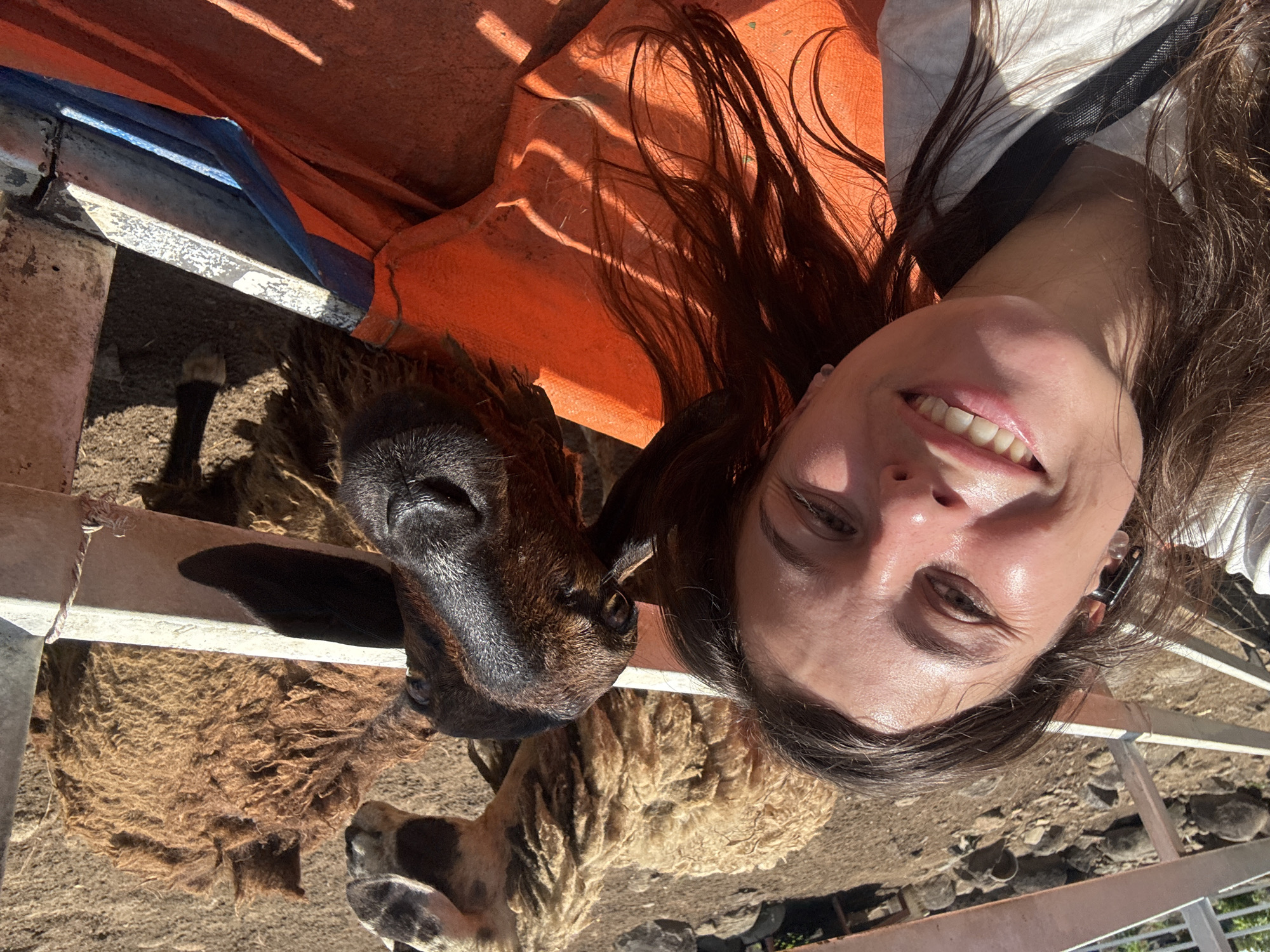 In a self-portrait taken outdoors, a young woman with long brown hair smiles at the camera. She is positioned in the foreground on the left side of the frame, with her face illuminated by natural light. Behind her, two sheep are visible. The sheep on the right has a dark brown head and appears to be looking towards the camera, while the sheep on the left is lighter in color and facing away. They are separated by a fence, which also runs along the bottom of the frame, featuring a metal railing and an orange tarp-like material. The ground behind the fence is dirt and rocky. The overall setting suggests an agricultural or petting zoo environment. The presence of the sheep and the rustic fencing might indicate a farm or rural area within or near Đà Nẵng, Vietnam.