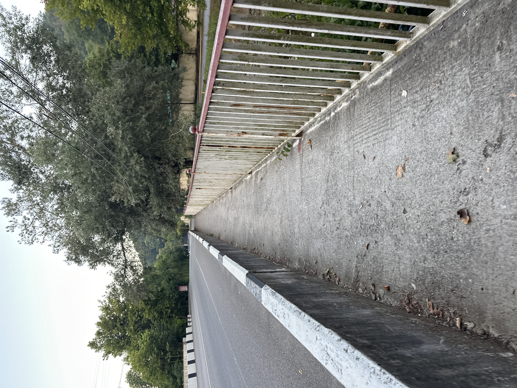 The image shows a pedestrian sidewalk running alongside a road in Sochi, Russia. The sidewalk is made of concrete and has a weathered, white-railed fence on the right side, with some rust visible on the metal. A concrete barrier separates the sidewalk from the asphalt road on the left, which has black and white markings on its edge. Trees and foliage line the far side of the road, and a hill covered in trees is visible in the background. The sky is overcast, suggesting it may be late afternoon or early morning. There are no people visible in the immediate scene. The overall impression is that of a road and sidewalk in a somewhat natural, possibly suburban or semi-rural area.