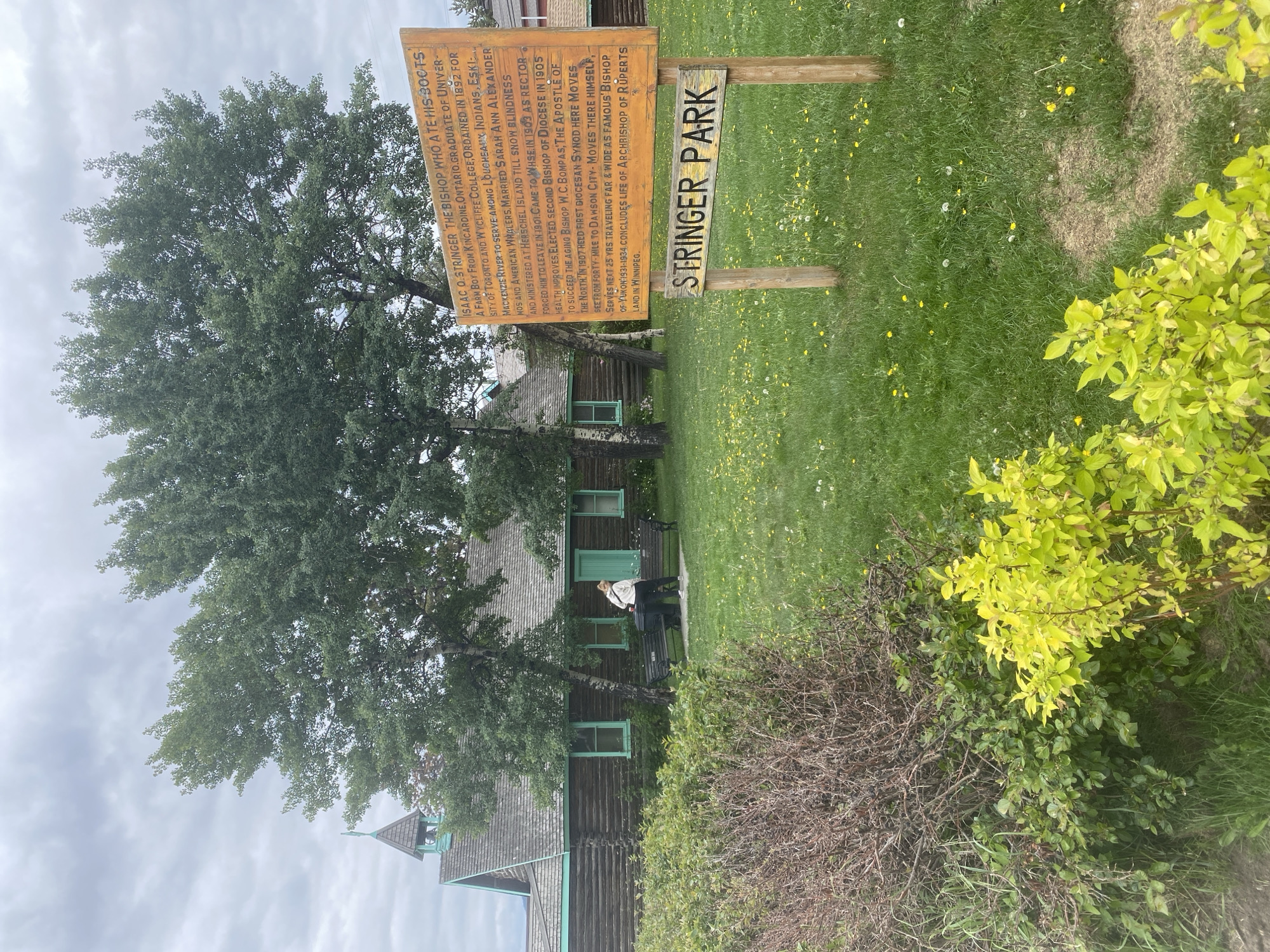 In Whitehorse, Yukon, Canada, a wooden sign reading "STRINGER PARK" stands in a grassy area dotted with yellow dandelions. To the right of the sign, a larger wooden sign displays text detailing the life of Isaac O. Stringer, a bishop. Behind the signs, a rustic log building with a steeple and mint green trim is visible. Two people are standing near benches in front of the building. The sky is overcast.