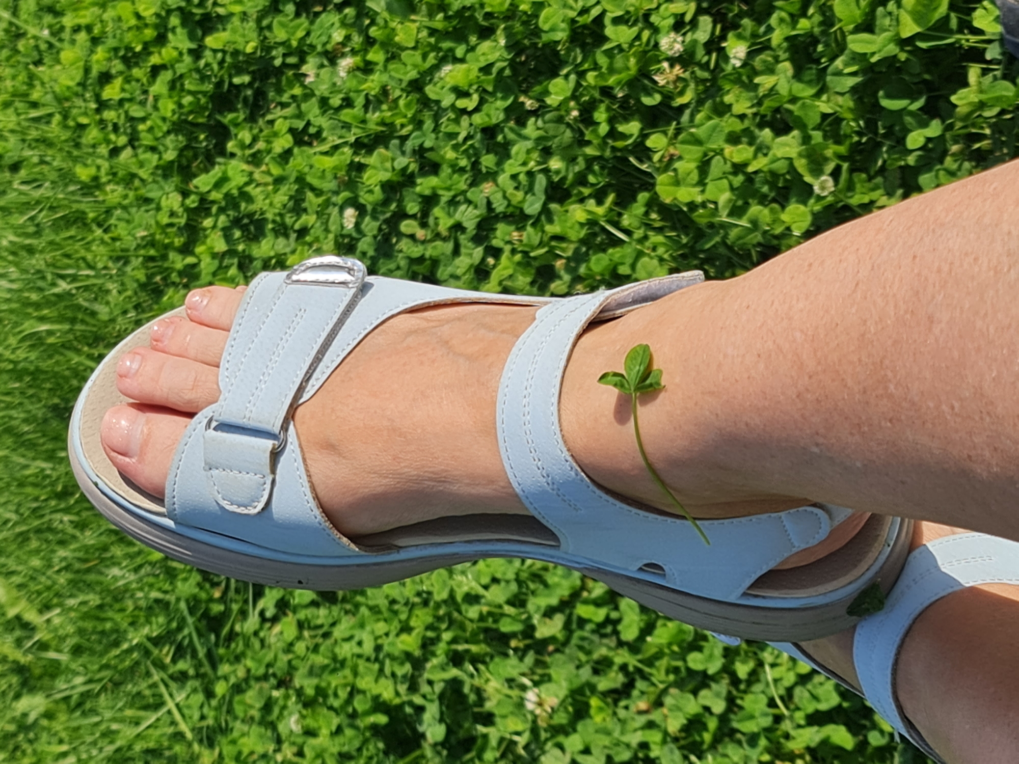 A close-up, high-angle shot shows a person's left foot wearing a light blue sandal, resting on a patch of green grass and clover. The sandal has two straps, one over the toes and another over the instep, secured with a silver buckle. A single four-leaf clover is resting on the person's leg just above the ankle. The background consists of lush green grass and clover, indicative of a sunny day. The image does not provide enough information to determine the specific location within Angarsk, Russia.