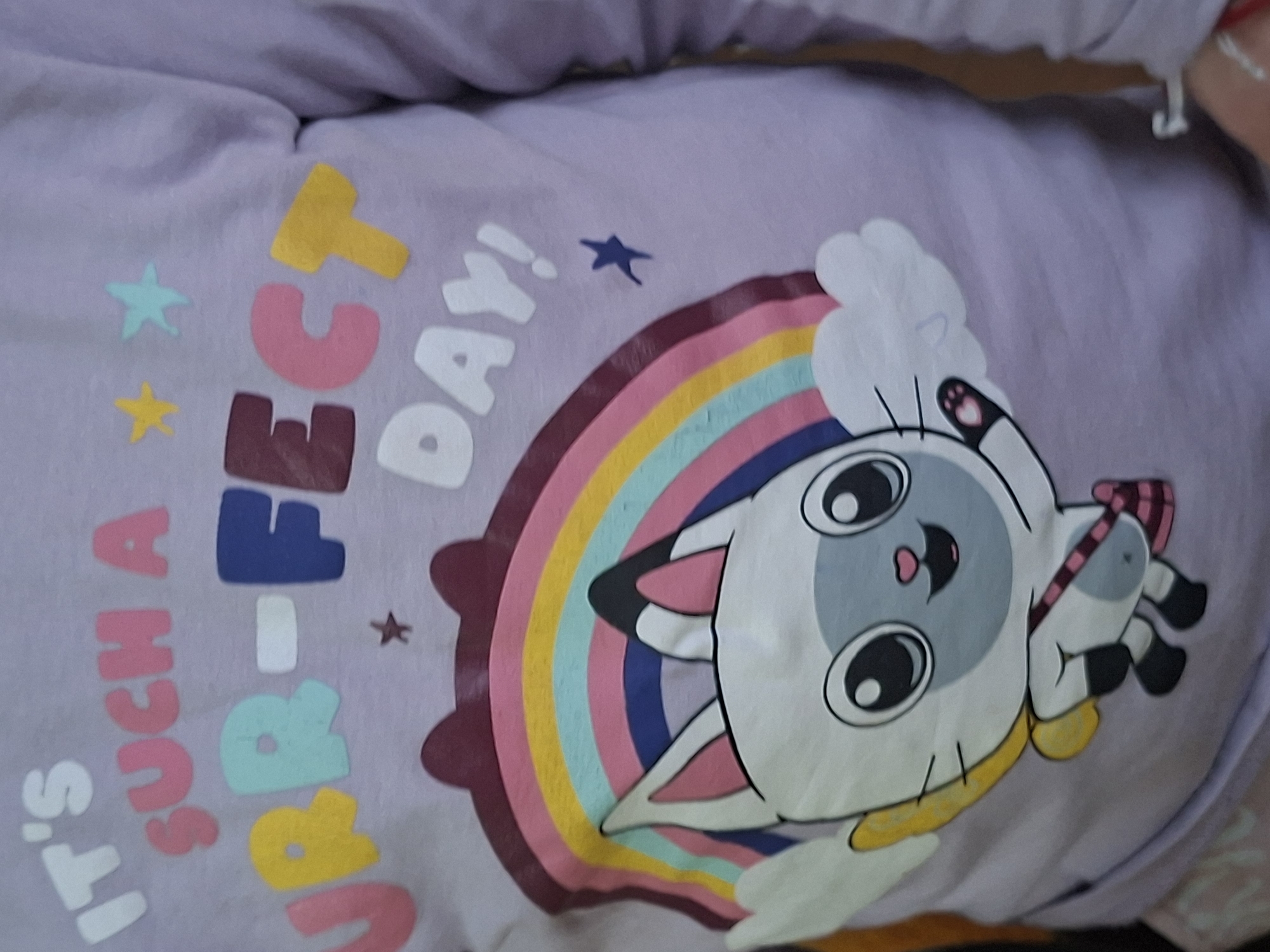 A close-up shot of a lavender or light purple garment, likely a t-shirt or sweatshirt, displaying a colorful cartoon-style design. The design features the phrase "It's SUCH A PERFECT DAY!" printed vertically with each letter in a different color. To the right of the text is a stylized cartoon illustration of a cat or kitten integrated with a rainbow and cloud. The cat has large eyes and is positioned as if peeking over the rainbow. The rainbow itself consists of multiple colored stripes.
I am unable to provide location in the city of Selyanin, Bulgaria as the image does not contain any geotagged information.