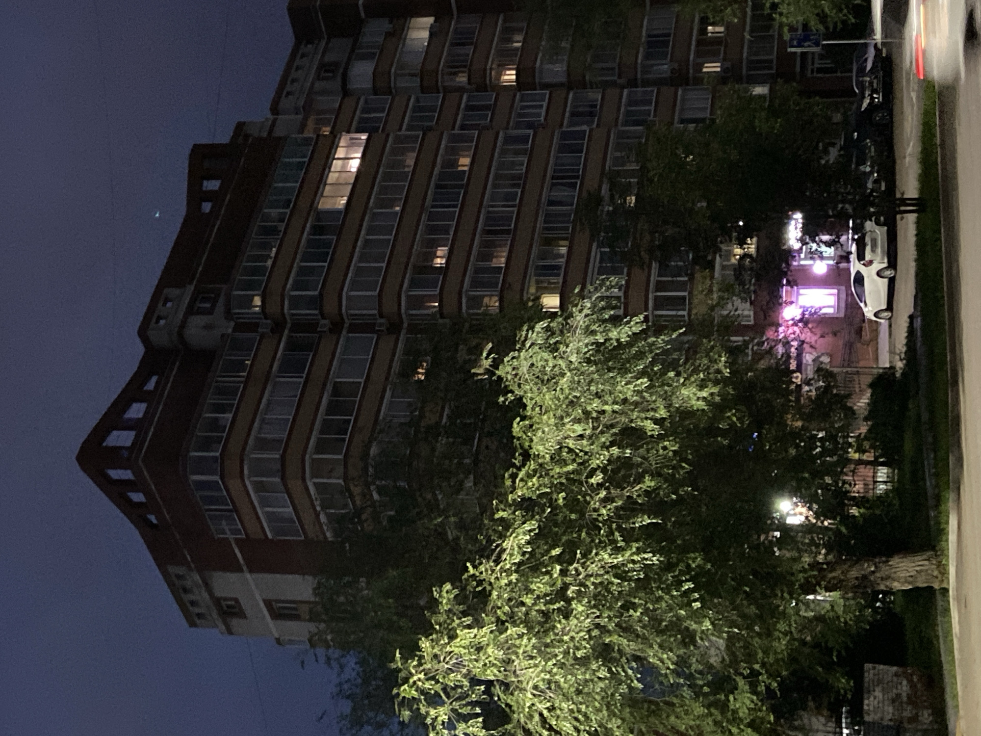 The image shows a multi-story apartment building at night in Blagoveshchensk, Russia. A large, leafy tree with illuminated foliage is in the foreground, partially obscuring the building. The building's facade is predominantly red brick with yellow accents and numerous windows, some of which are lit, indicating occupancy. A white hatchback car and other parked vehicles are visible in front of the building, near a row of shops with bright pink neon signs. The sky is dark, suggesting late evening or early morning. The overall scene depicts a typical urban environment at night.