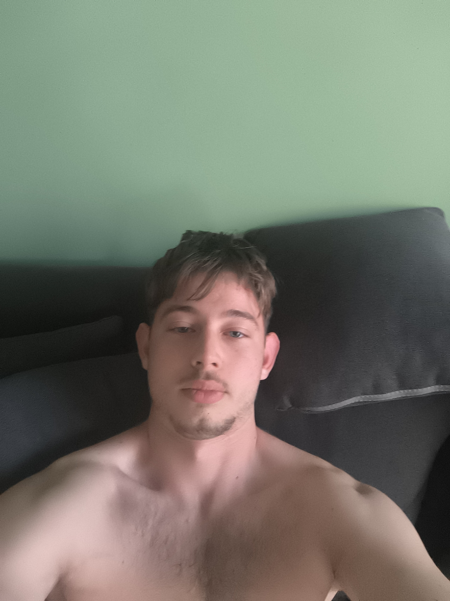 A young man is positioned centrally in a close-up, head-and-shoulders selfie, looking directly at the camera with a neutral expression. He appears to be in an indoor setting in Sofia, Bulgaria. His hair is dark brown, styled with a fringe falling over his forehead. He has light-colored eyes and a light mustache and goatee. The man is bare-chested, revealing his chest and shoulders, with some body hair visible on his chest.
Behind him, a dark grey or black upholstered surface, likely a couch or bed, serves as a backdrop. This furniture takes up the lower half of the background. Above the furniture, the wall is painted a solid, light teal or mint green color. The lighting in the image is somewhat subdued, suggesting an indoor environment without strong direct sunlight. No specific activity beyond posing for the selfie is evident. There is no visible text in the image. The crops provided emphasize the texture of the green wall and the details of the man's face and upper torso.
