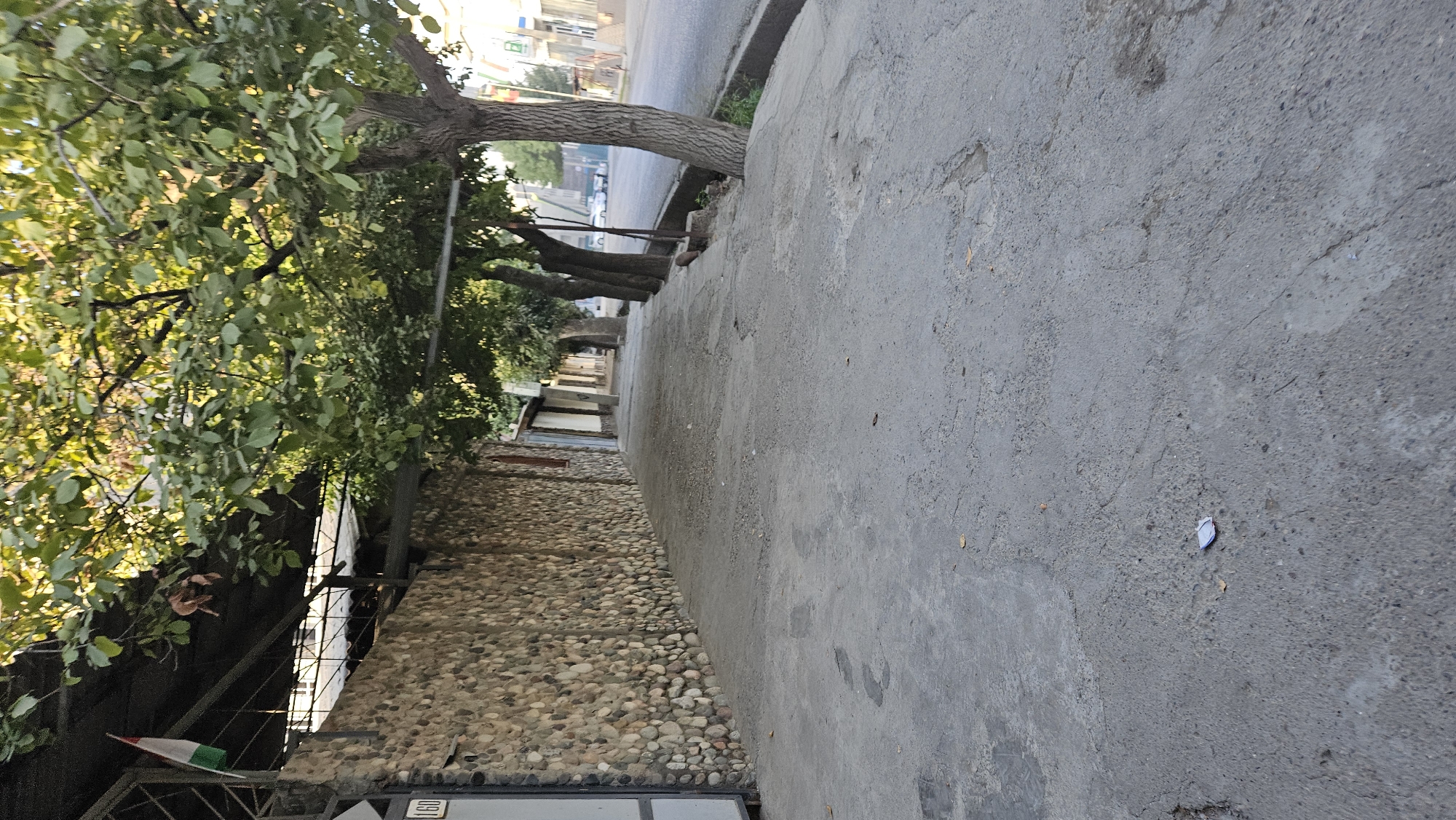 An outdoor shot captures a paved sidewalk alongside a stone wall, under the shade of trees. A flag, possibly of Tajikistan, hangs on the left. A portion of the street is visible on the right with a few cars. The scene appears to be a quiet street in Dushanbe, Tajikistan, on a bright, sunny day.