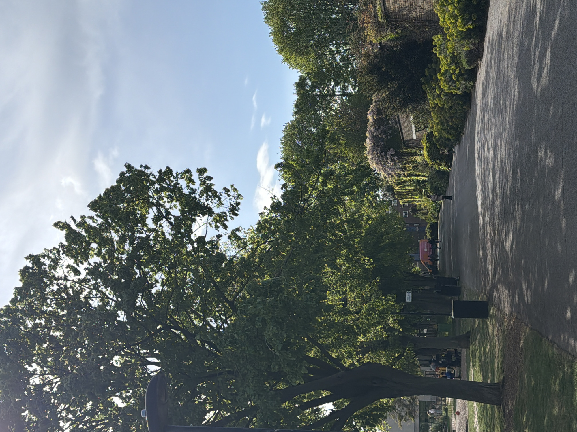 The image displays a picturesque outdoor scene, likely a park or garden path in London, United Kingdom. The bright daytime setting is characterized by a clear blue sky with scattered wispy white clouds. The sun is out, casting long, well-defined shadows of trees across a paved pathway, suggesting either morning or late afternoon.
The left and central parts of the frame are dominated by numerous large, mature trees with abundant, vibrant green foliage, their leaves appearing illuminated by the sunlight. On the right, a wide, dark grey paved path stretches into the distance, lined with several dark, rectangular litter bins.
Beyond the path, on the far right, brick buildings are visible, partially obscured by dense green bushes and climbing plants. A striking detail is a cascade of purple wisteria, in bloom, draping down from a structure or wall, adding a touch of color to the scene.
Several people are present, enjoying the peaceful atmosphere. One person in light-colored attire is walking on the path in the mid-ground. Further down, near the bins, other figures can be seen, some appearing to be seated or standing near a yellow and orange structure, possibly playground equipment or a small vendor stall.
A small white sign with black text and an arrow pointing left is attached to a pole or tree along the path, but the specific text is not discernible. The overall impression is one of calm and leisure in a well-maintained urban green space.