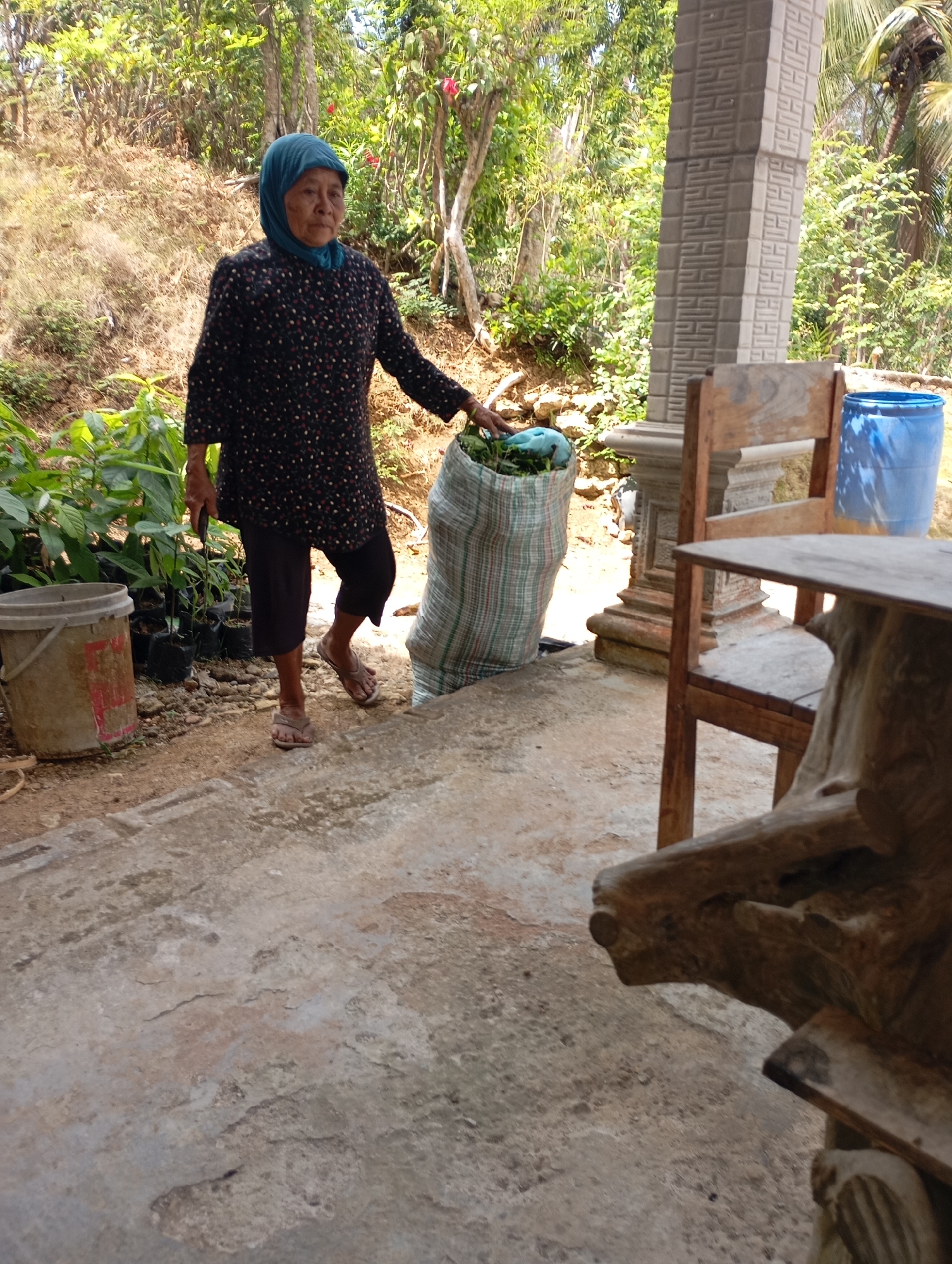An elderly Indonesian woman, wearing a blue headscarf and a dark patterned long-sleeved shirt with dark pants, walks on a concrete pathway. She is carrying a large, striped woven bag filled with green produce. To her left, a rusty, square bucket sits on the ground near several small potted plants. In the background, a pillar with a decorative pattern supports an overhang, and a blue plastic barrel is visible. Beyond this, a lush, green hillside with various trees and vegetation is illuminated by bright sunlight. The scene appears to be in a rural or semi-rural outdoor setting in Ketepung, Indonesia.